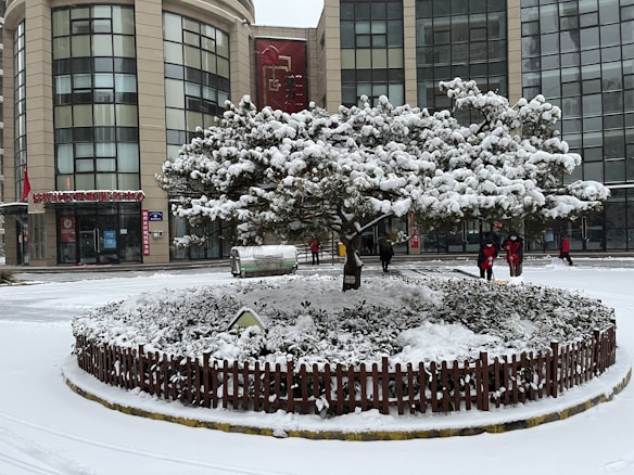 A snow-covered tree stands in the middle of a circular fenced area, with the background showing a large building with glass windows. The ground and foliage are blanketed in snow, while a few people dressed in red coats are seen shoveling snow nearby.
