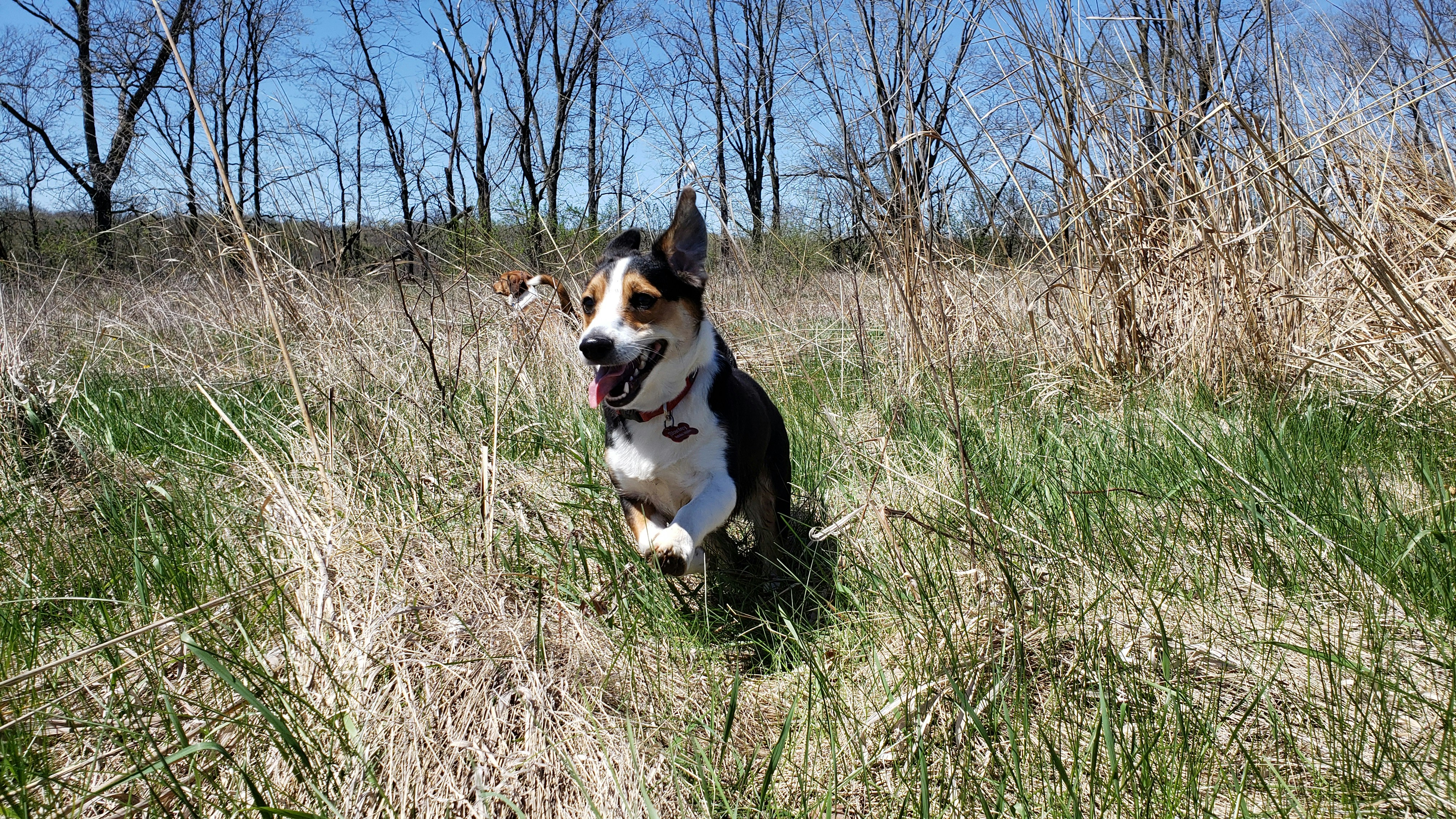 Photo by shanehoving