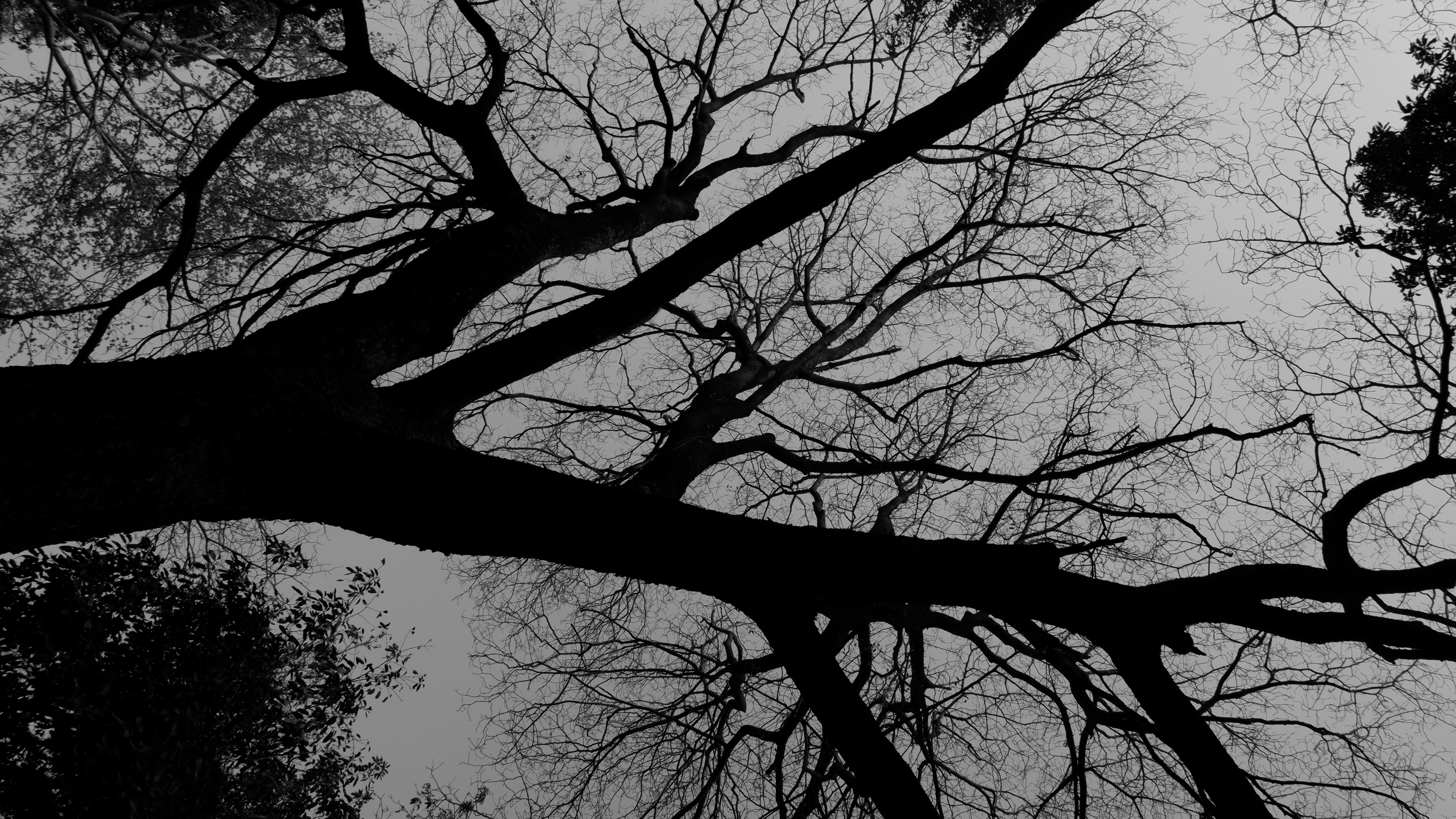 Photo by rahulmalviyax