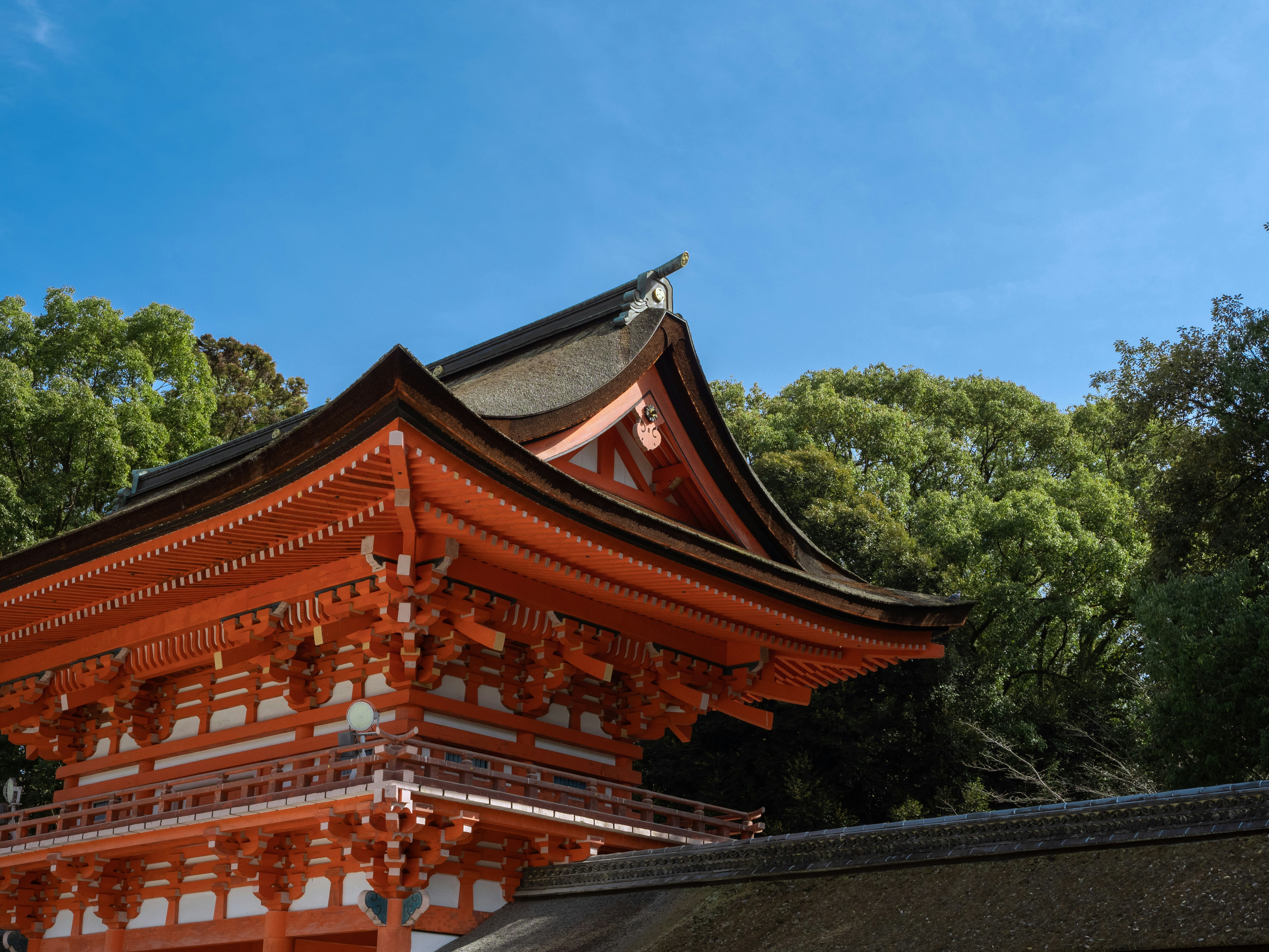 Photo by shellingfordyu