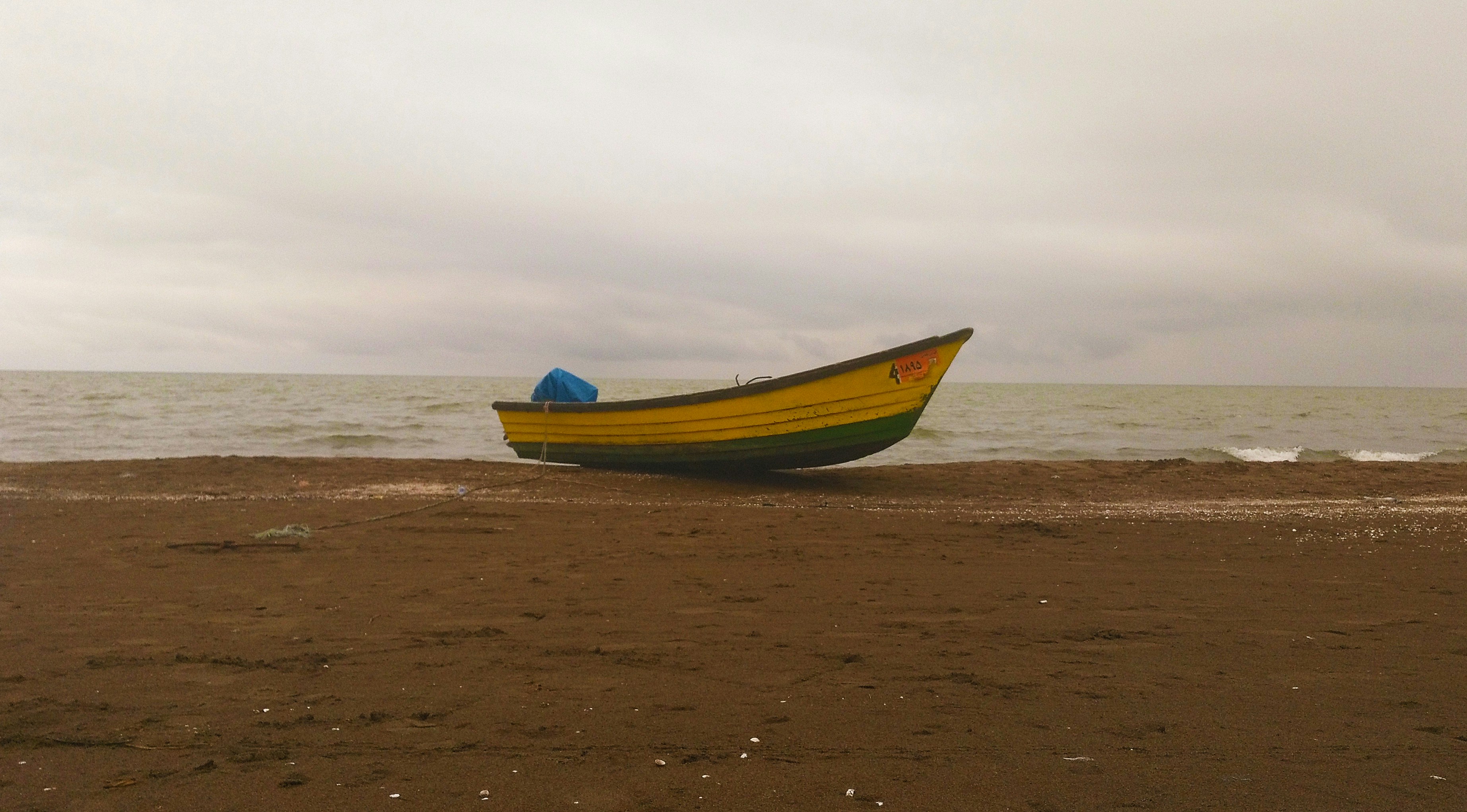 Photo by mrjelveh