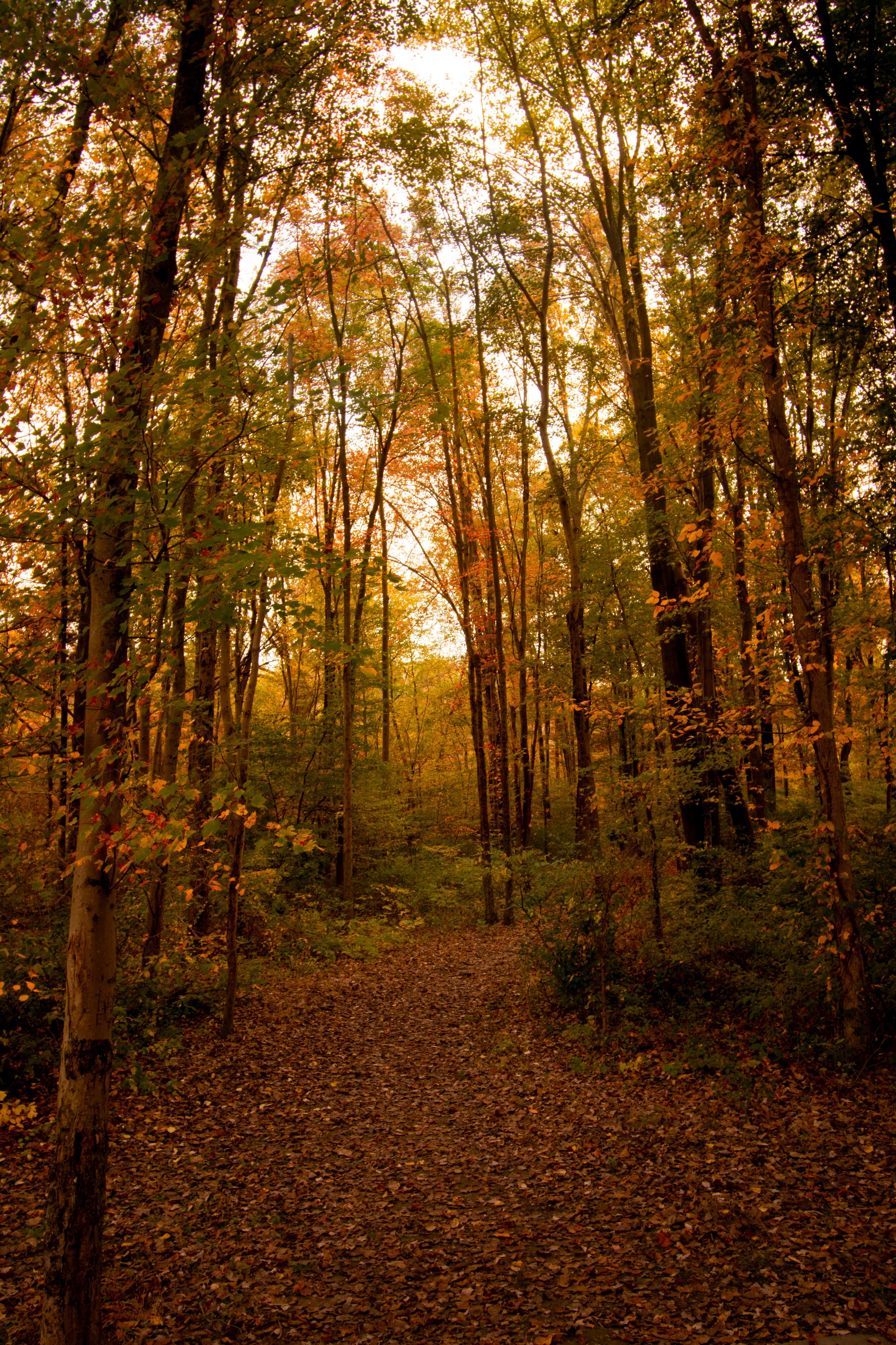 Photo by lucille_rose_photo