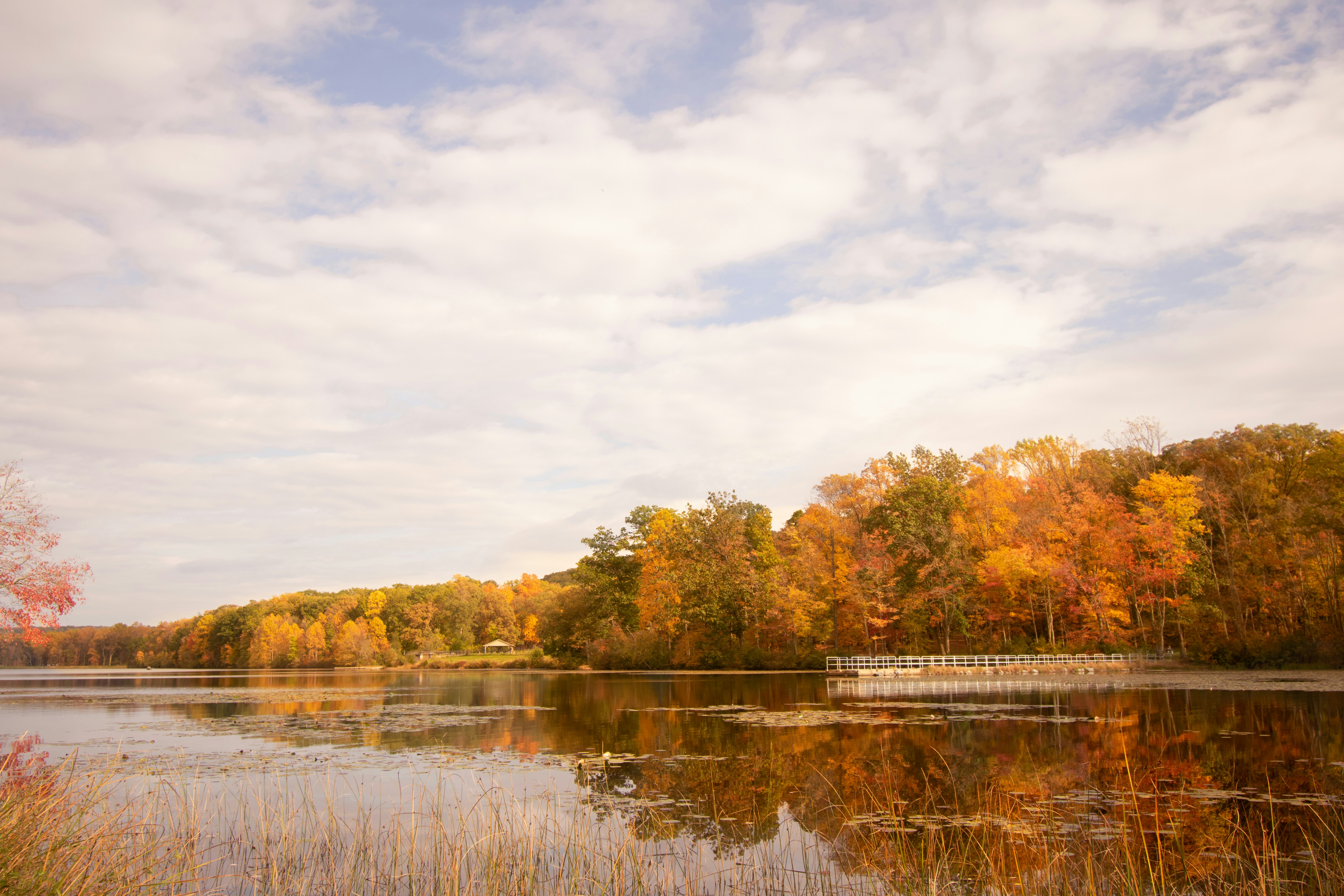 Photo by lucille_rose_photo