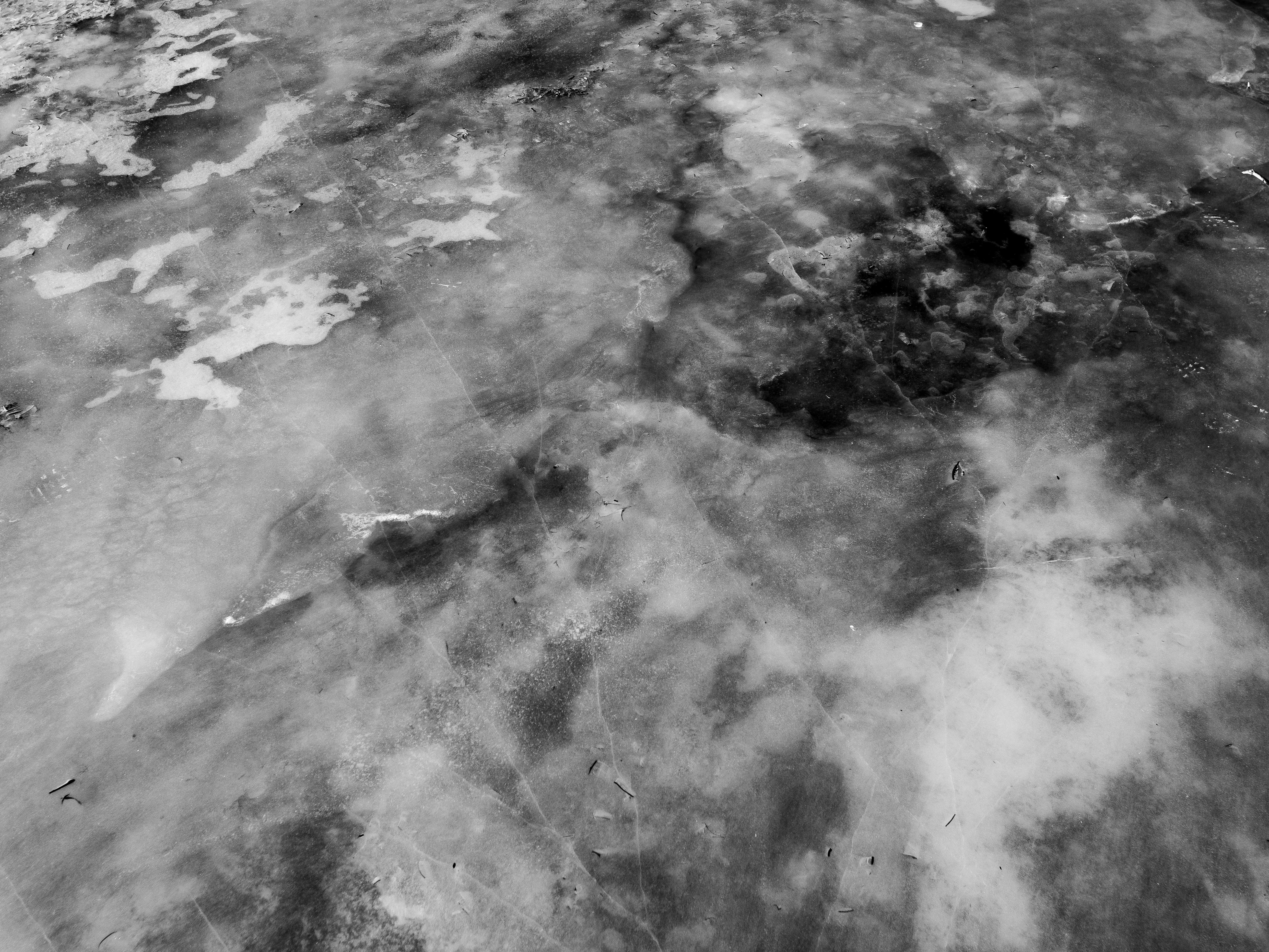 Photo by tomfooleryphoto