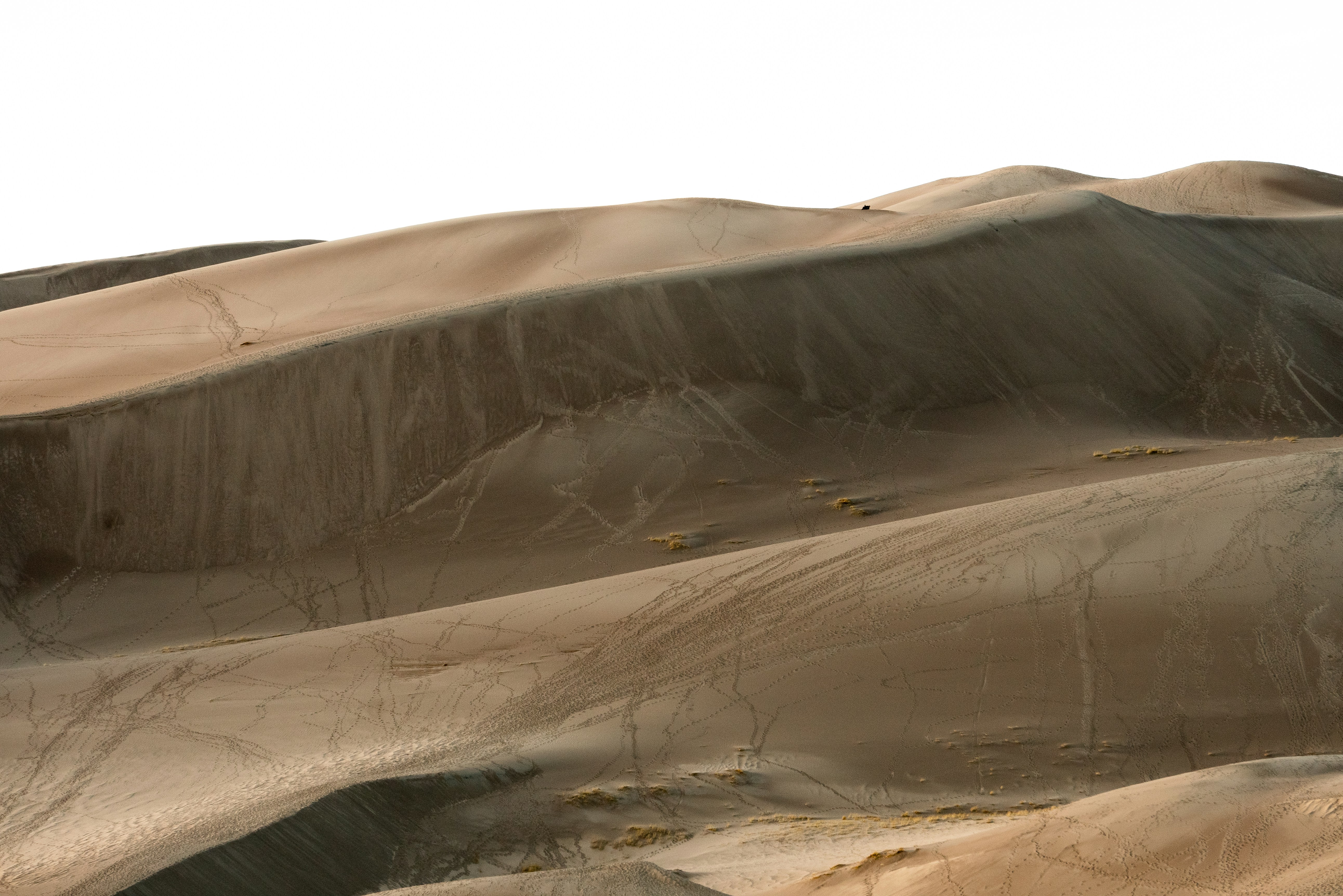 Photo by tomfooleryphoto