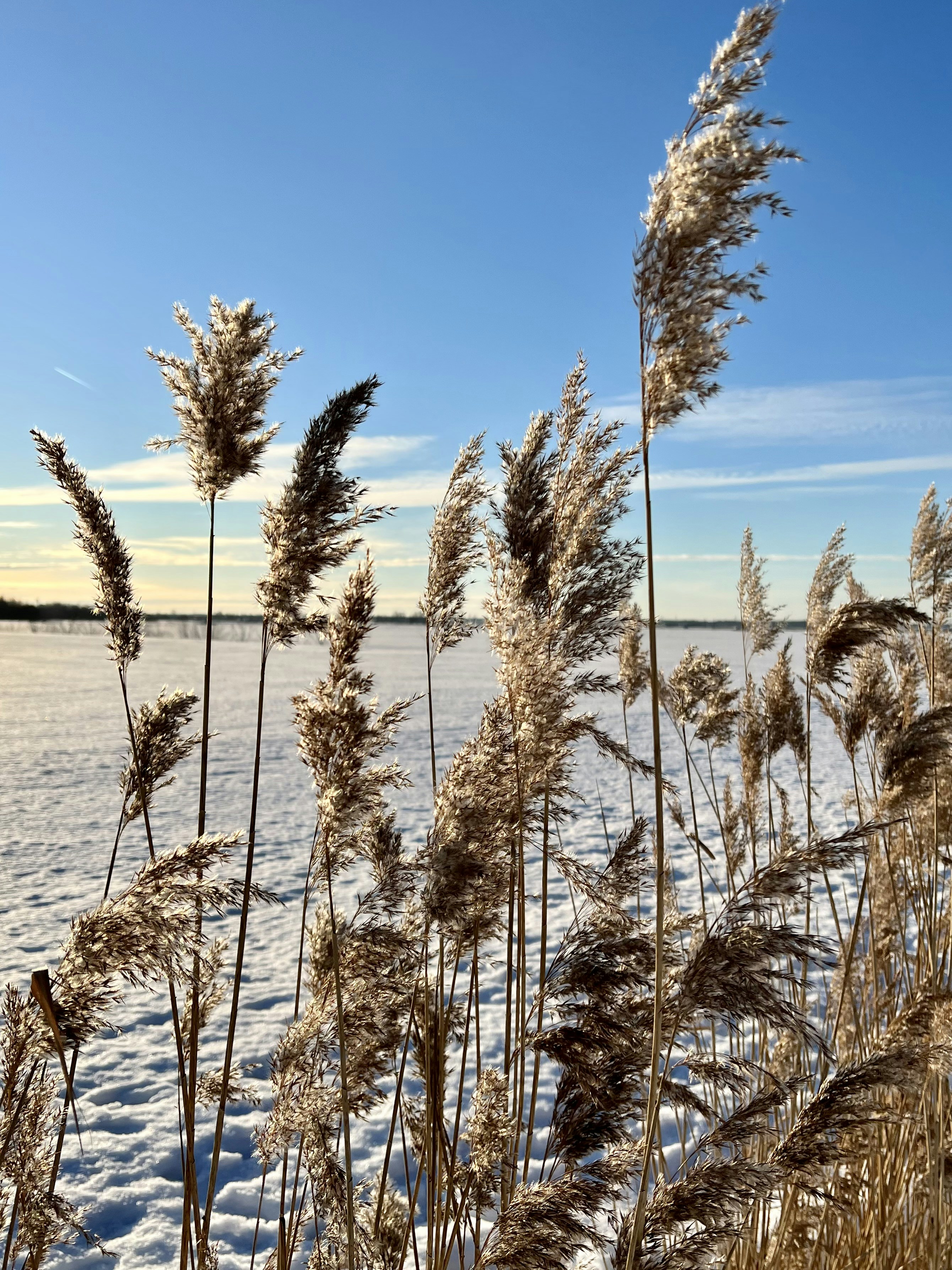 Photo by kristinaaboutme