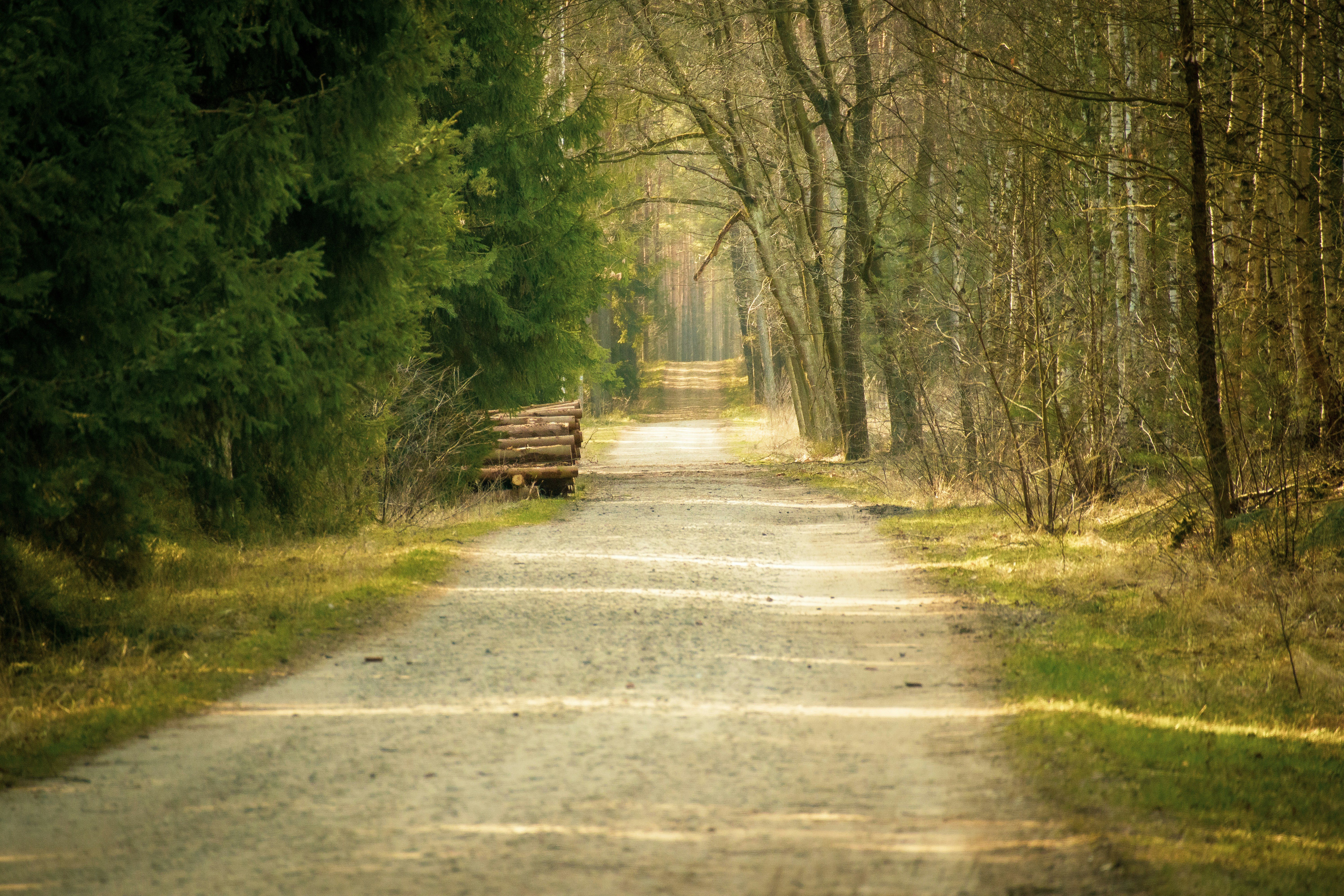 Photo by artur_luczka