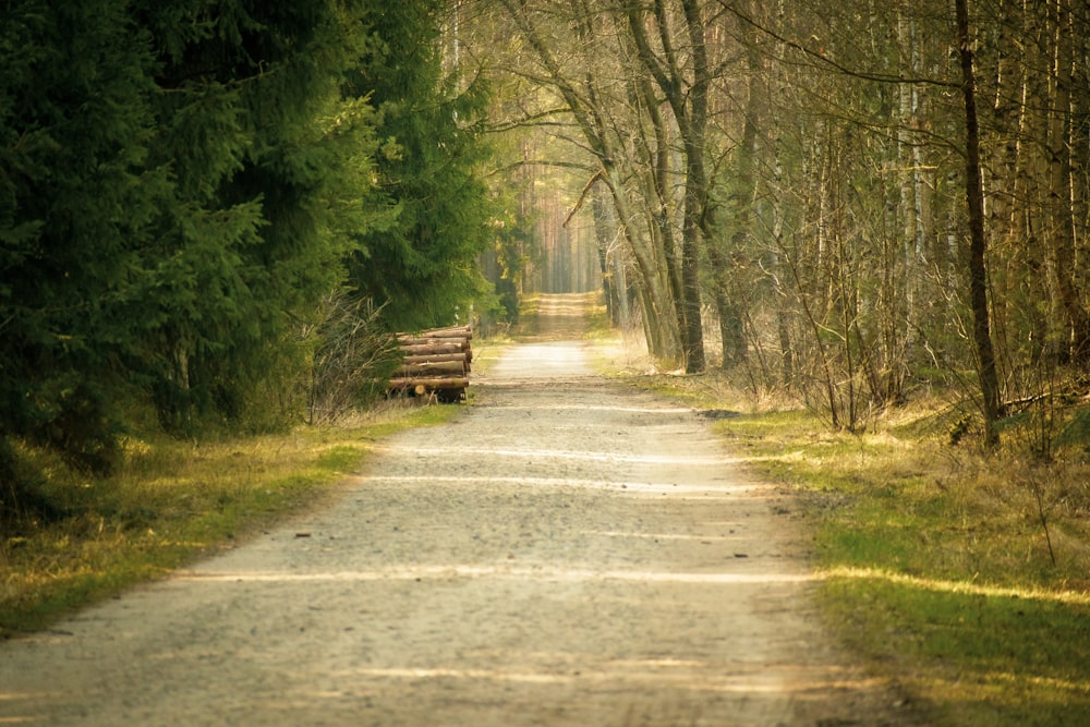 a dirt road with a bench on the side of it