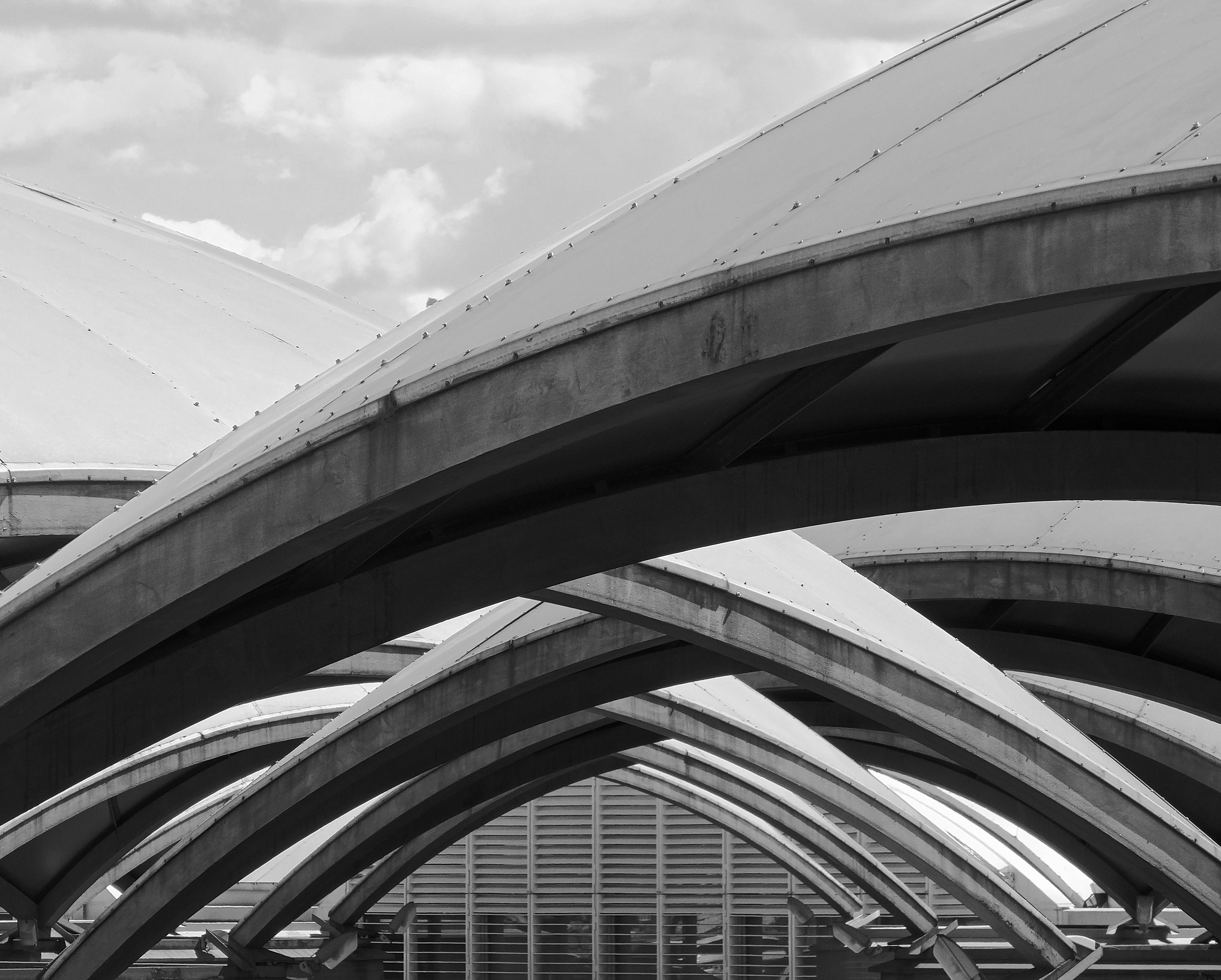 Photo by jandira_sonnendeck