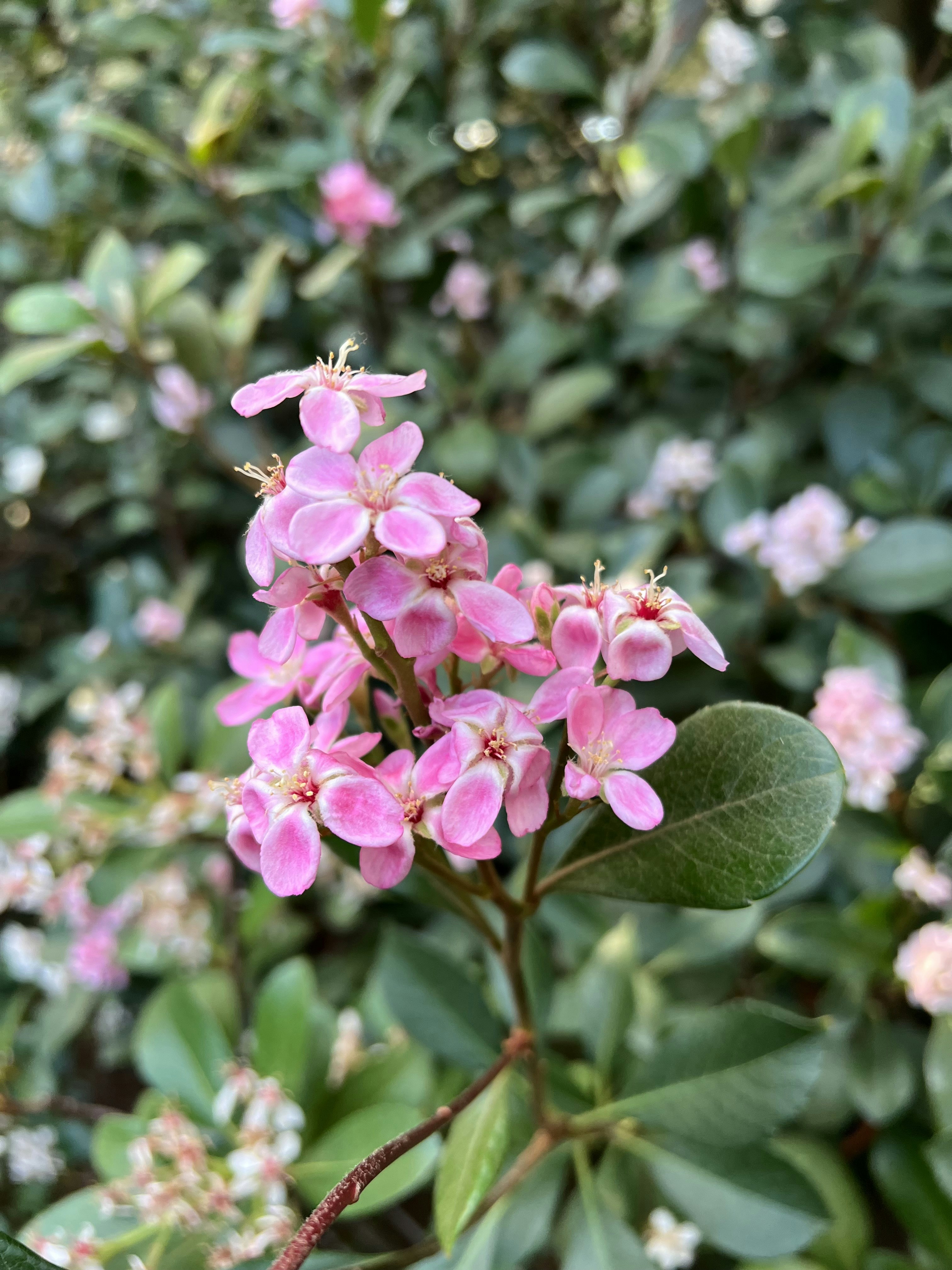 Photo by kristinaaboutme