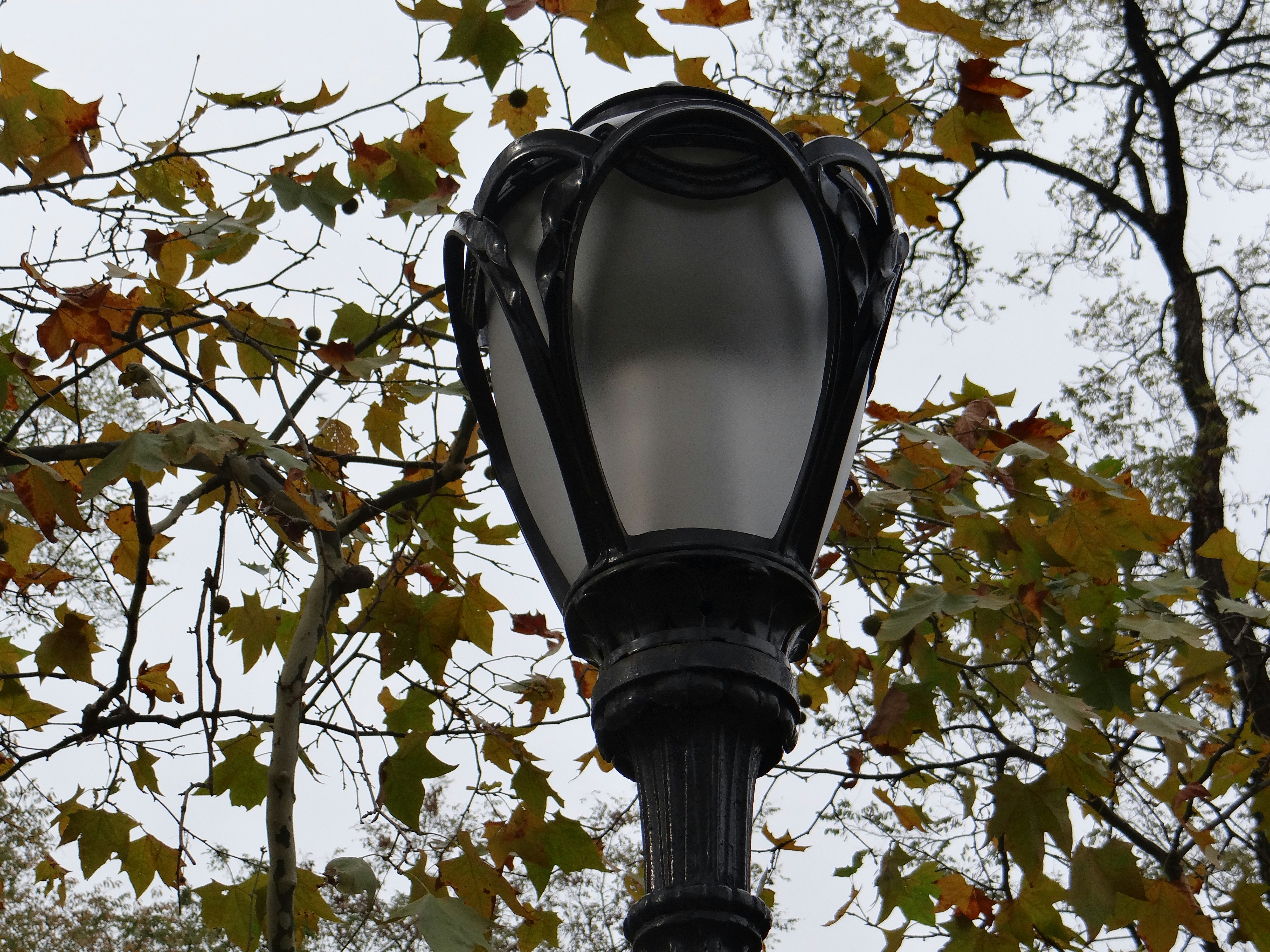 Photo by macornelsen