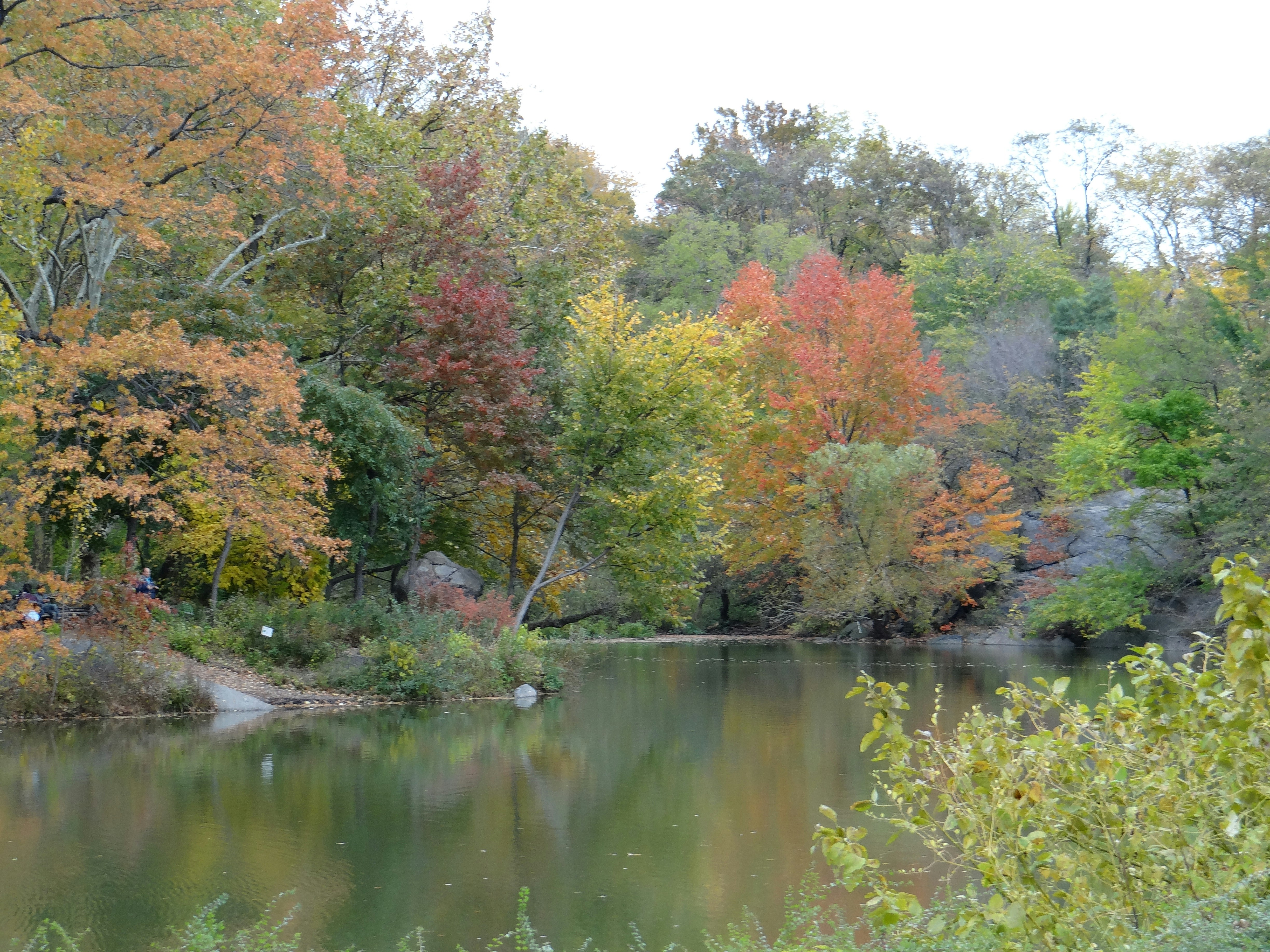 Photo by macornelsen