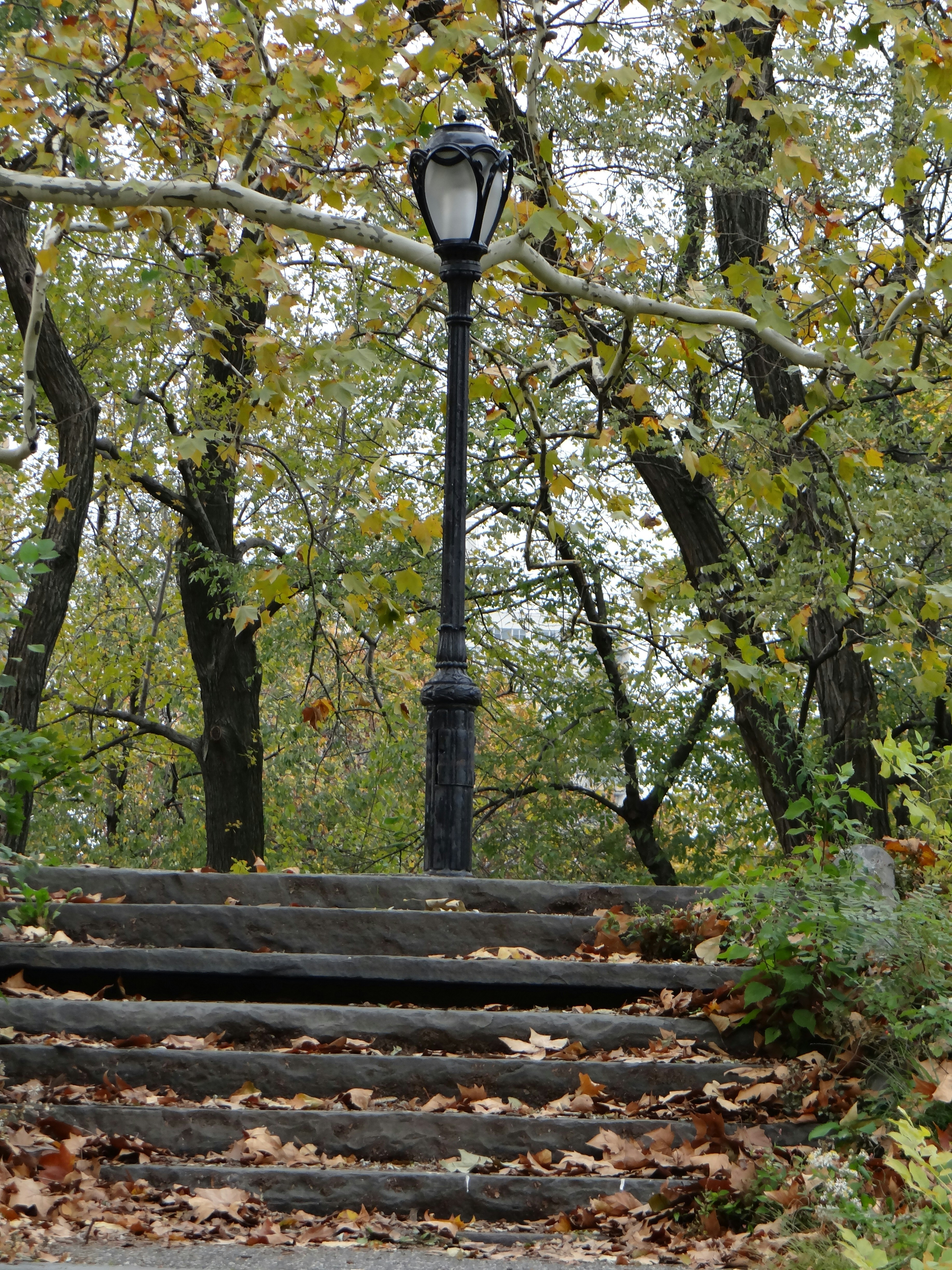 Photo by macornelsen