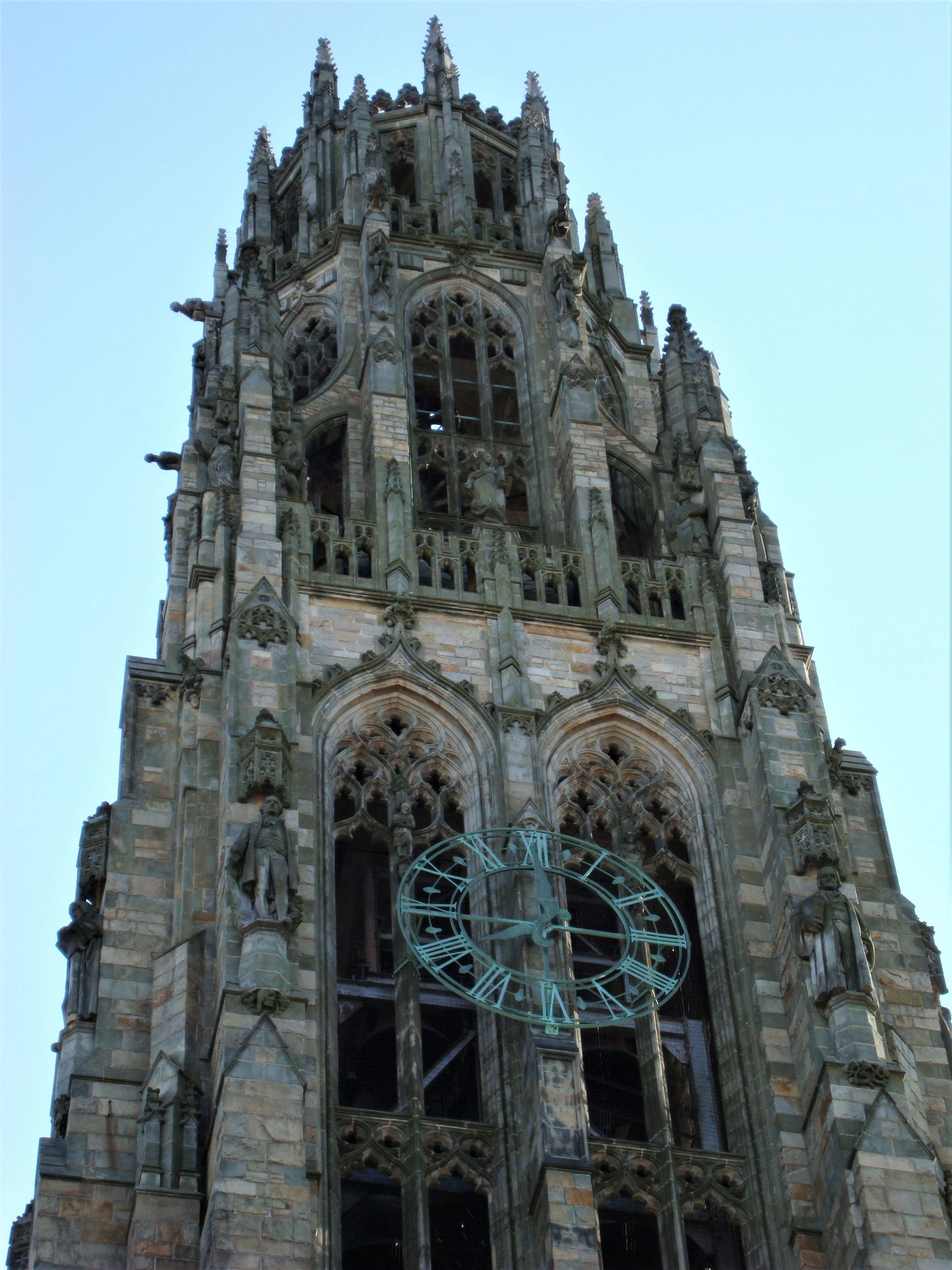 Photo by garnicanetwork