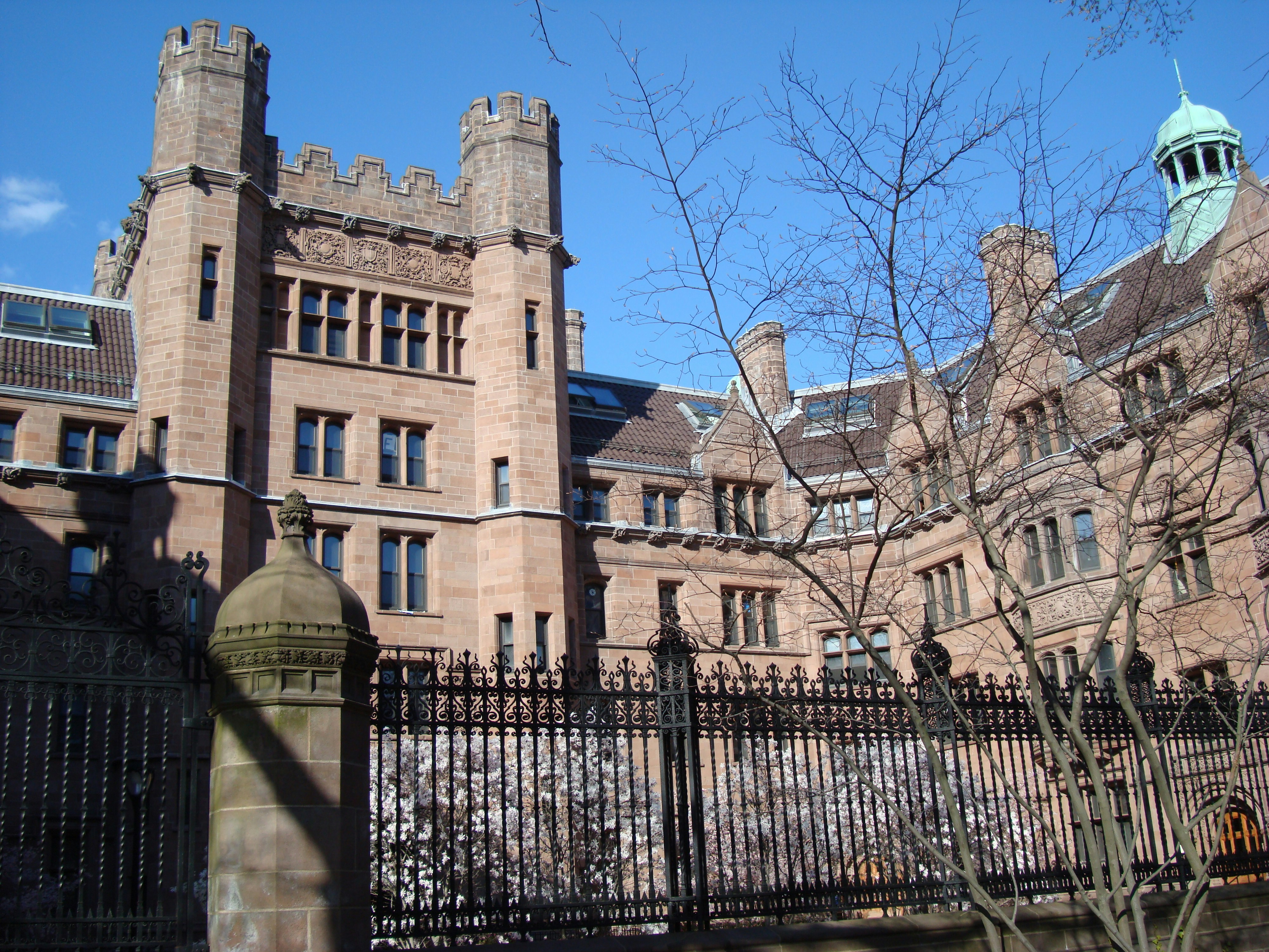 Photo by garnicanetwork