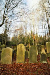 Close-up of hands delicately brushing a tombstone surrounded by autumn leaves.