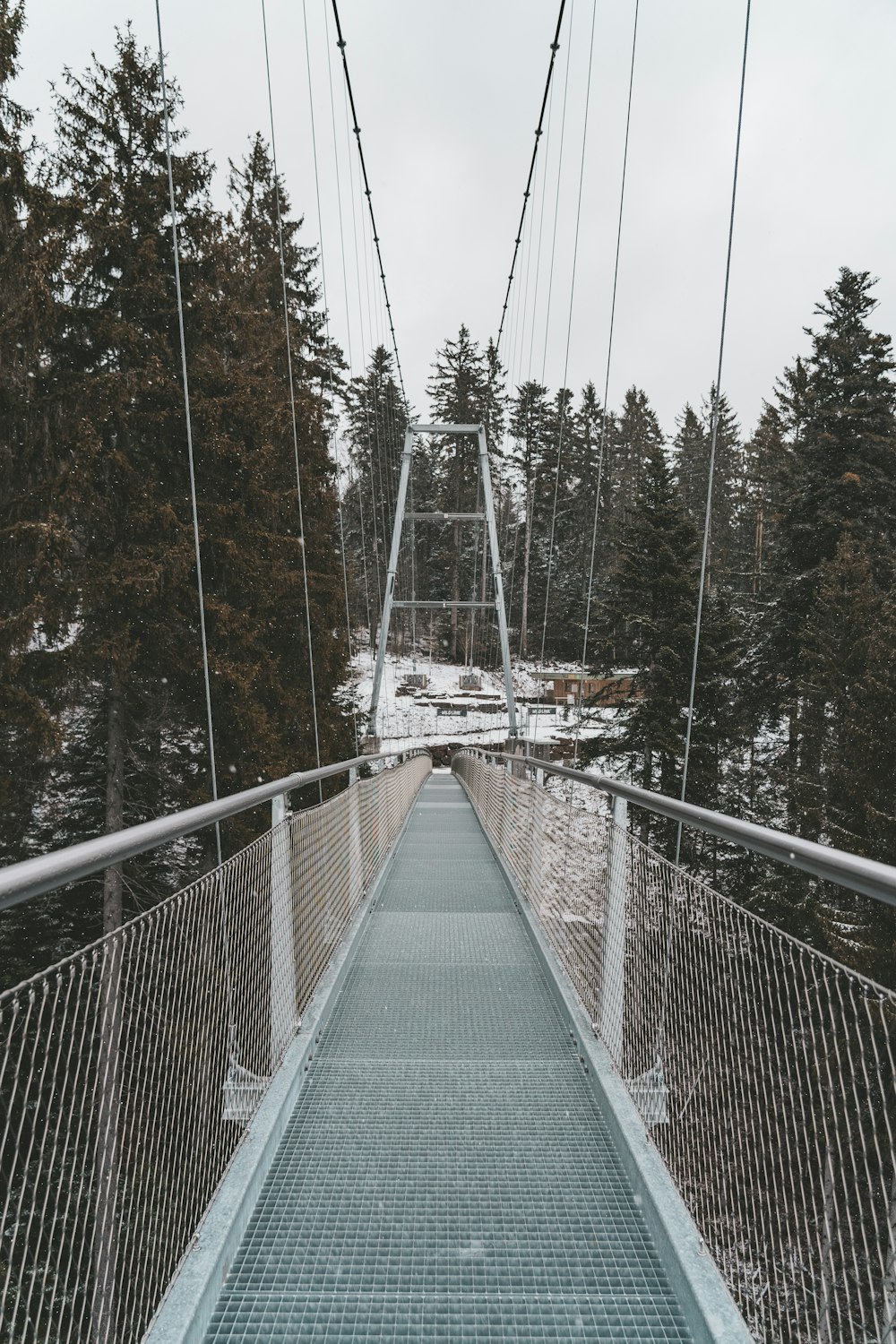 a suspension bridge in the middle of a snowy forest