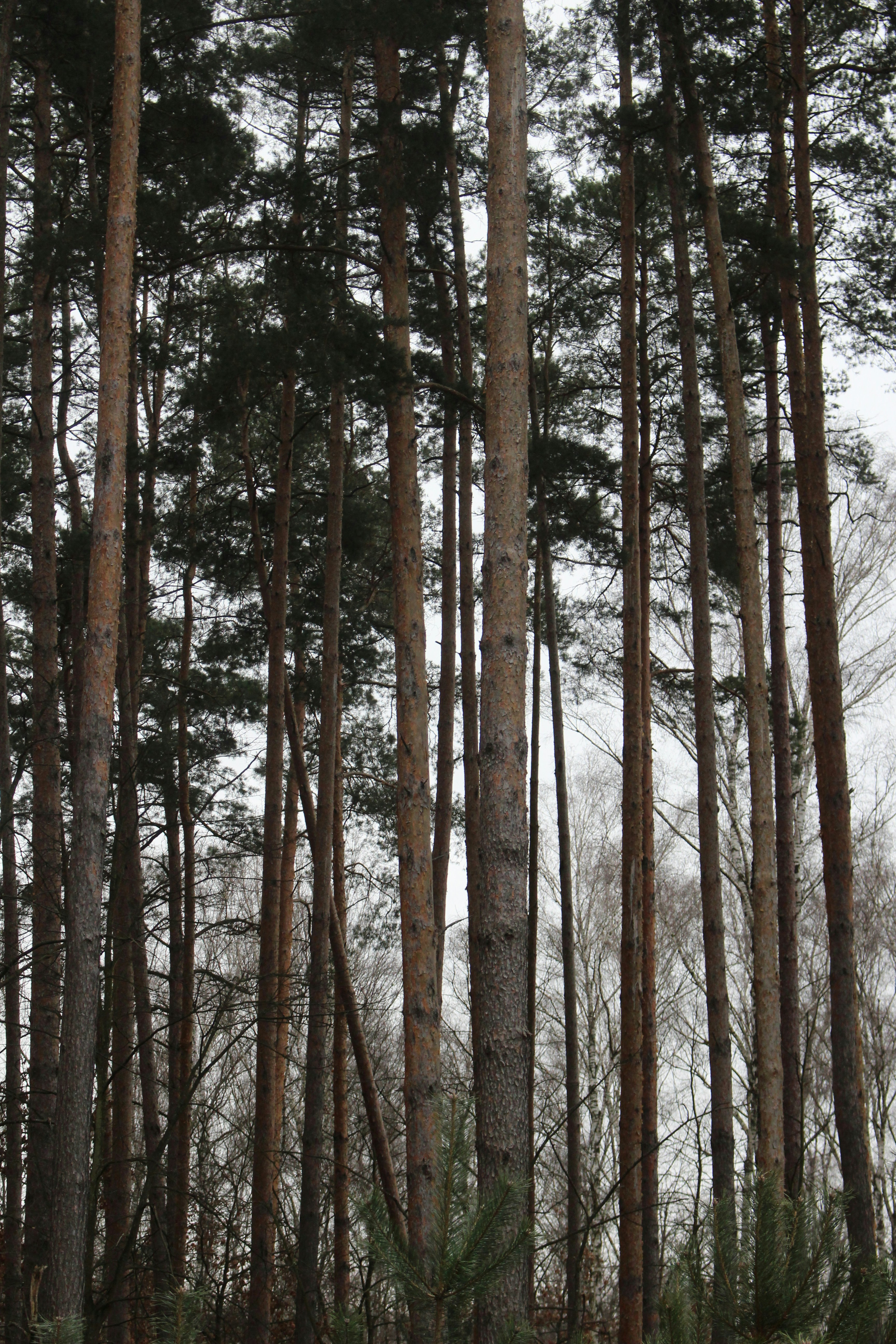 Photo by marjorylucabaxter