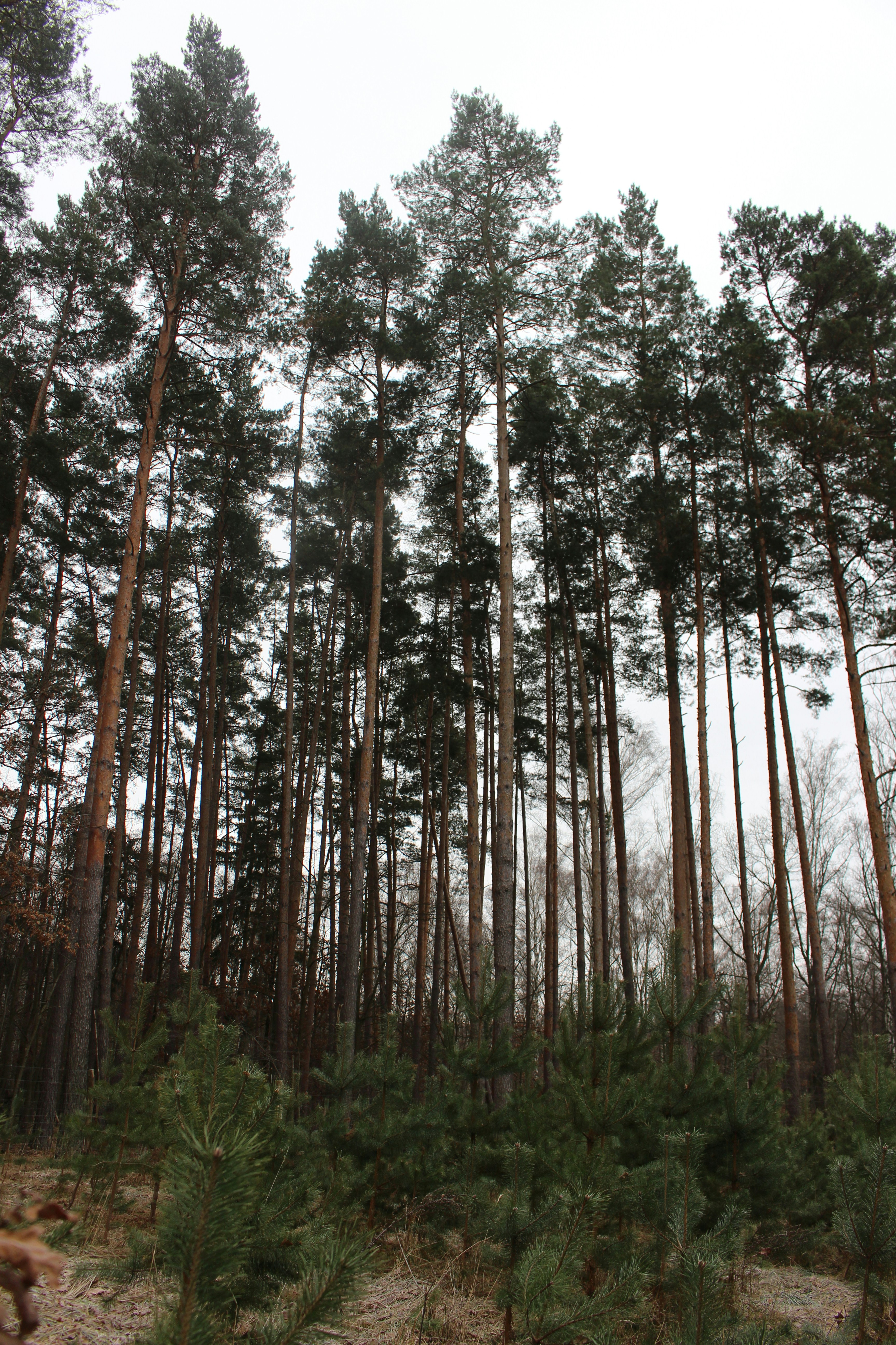 Photo by marjorylucabaxter