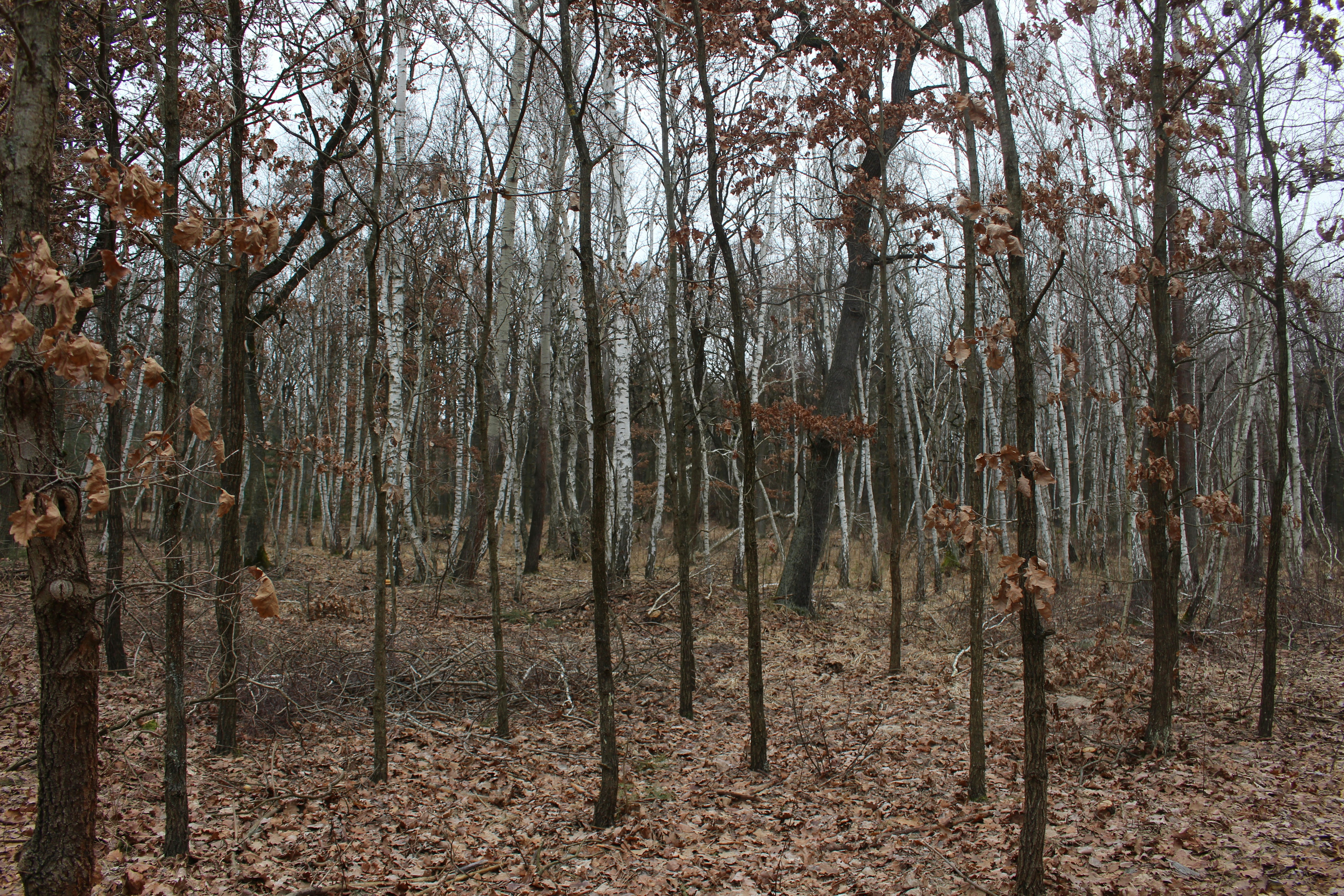 Photo by marjorylucabaxter