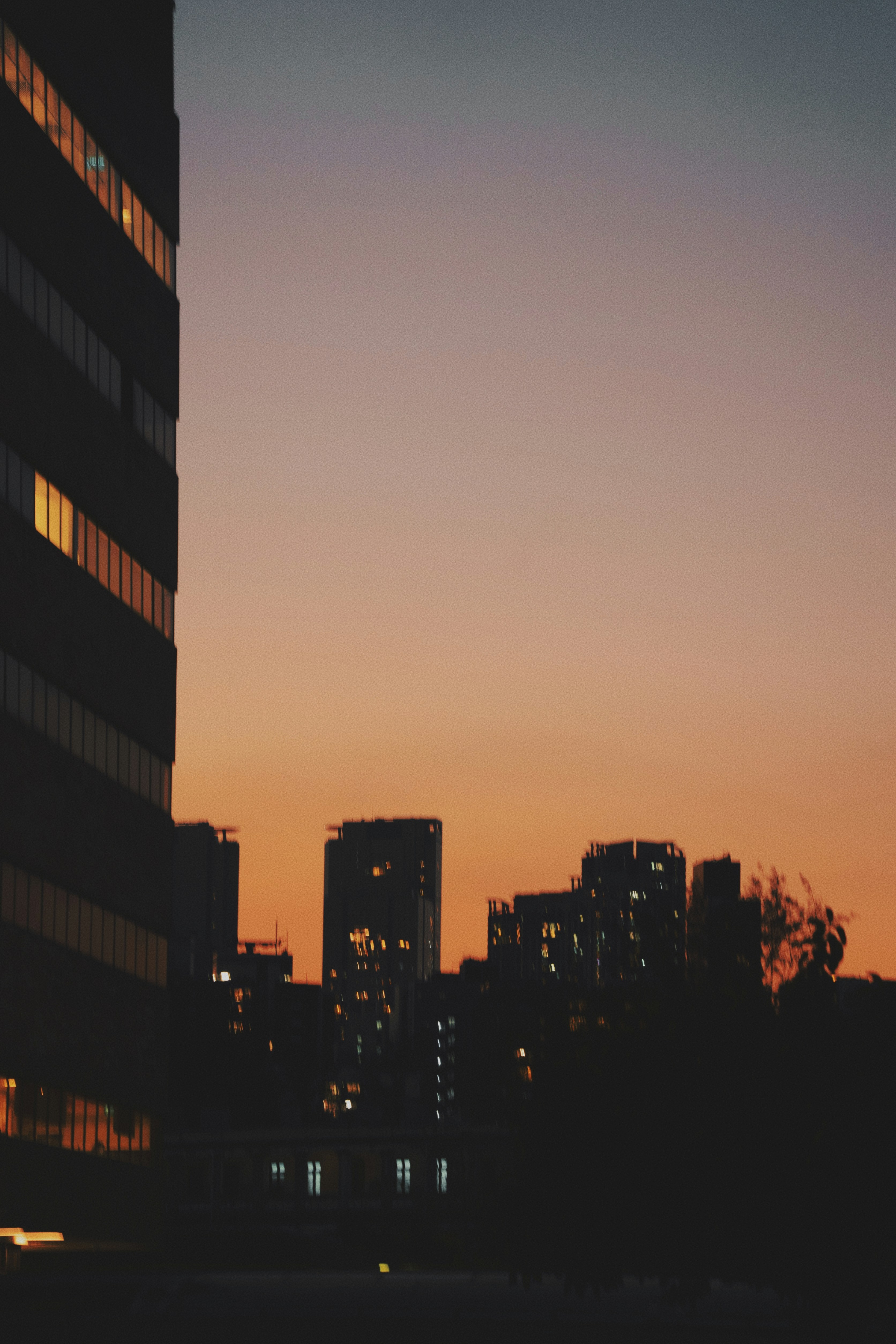 Photo by yvonne_yang