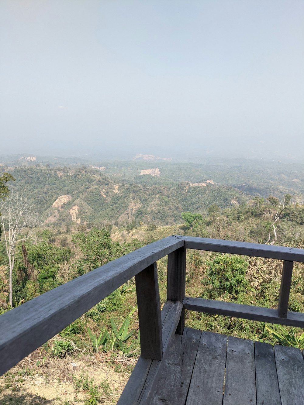 Un banco de madera sentado en la cima de una exuberante ladera verde