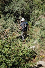A park ranger in uniform walking through a lush Colombian forest, attentively observing the surroundings.