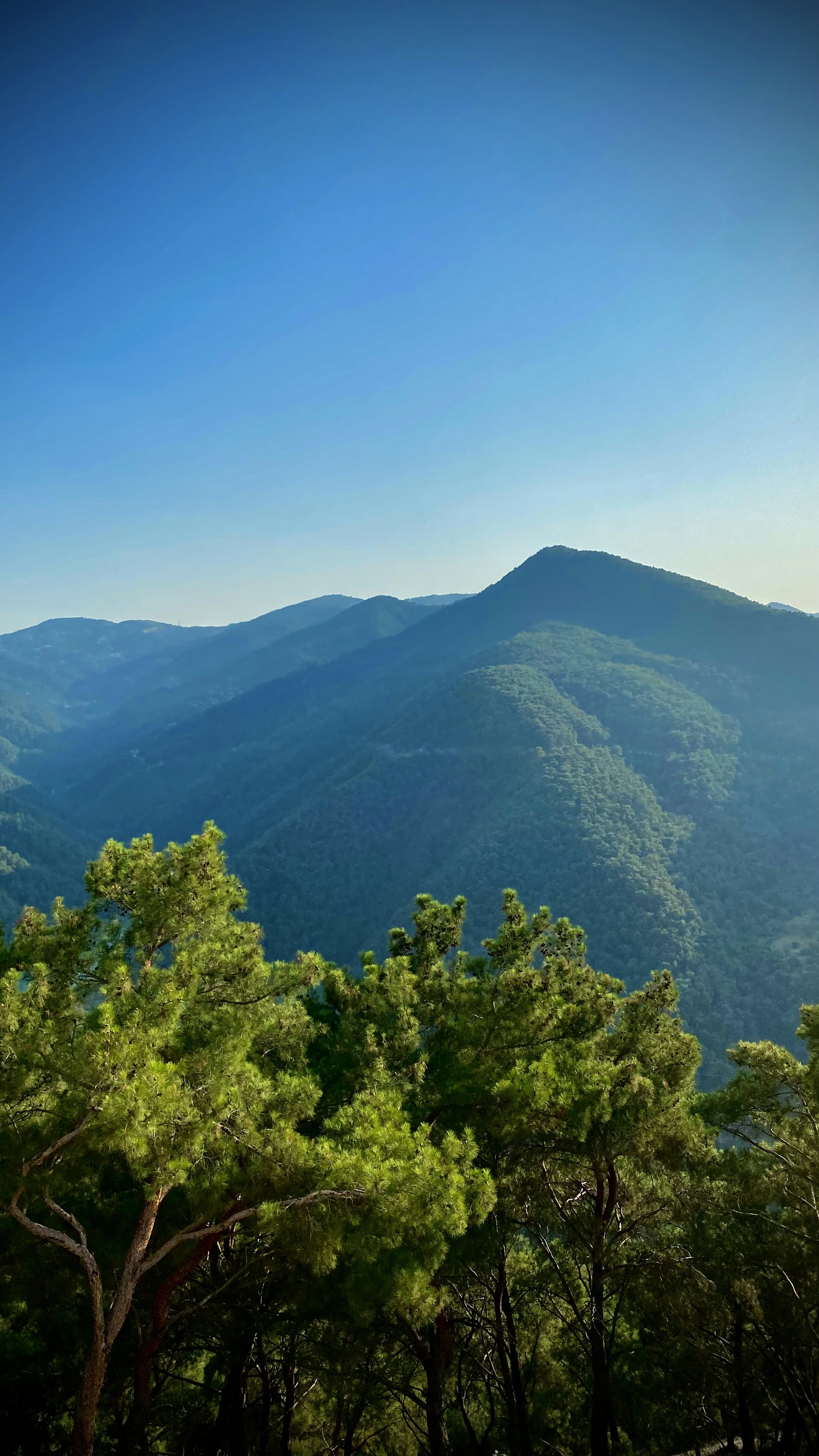 Photo by muhammederdem