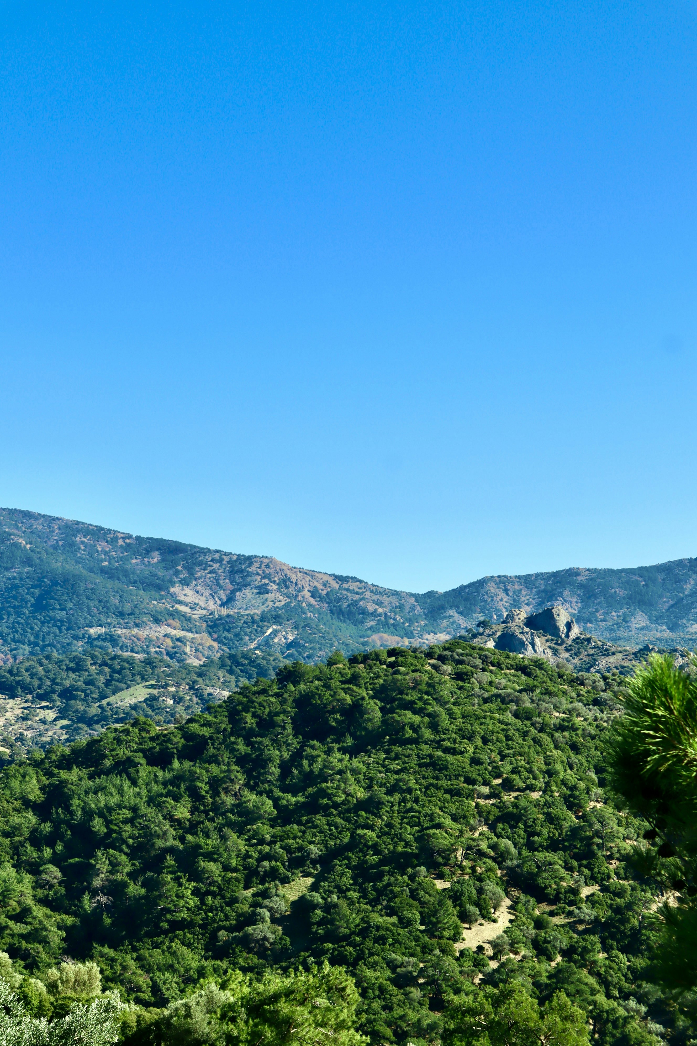 Photo by muhammederdem