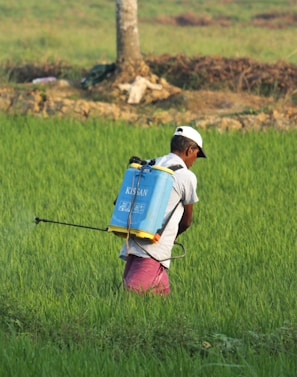 A person wearing a hat and carrying a blue pesticide sprayer is walking through a green field, likely to spray crops. The surrounding area is lush with grass, indicating an agricultural setting.