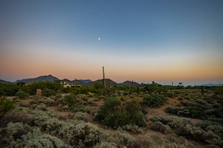 A serene desert landscape at sunset with a small off-grid cabin nestled among cacti.