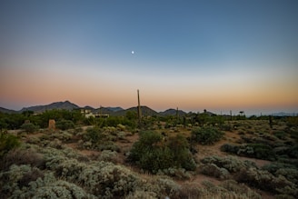 A peaceful desert landscape at sunset with a small off-grid cabin nestled among sagebrush and red rocks.