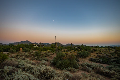 A serene desert landscape at sunset with a small off-grid cabin nestled among cacti.
