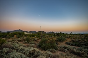 ScottsdaleFertility.com