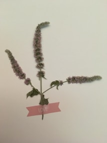 A sprig of flowering mint lies on a flat surface with soft purple blossoms and green leaves. Beneath the stem, a pink tag with the word 'LOVE' is attached.