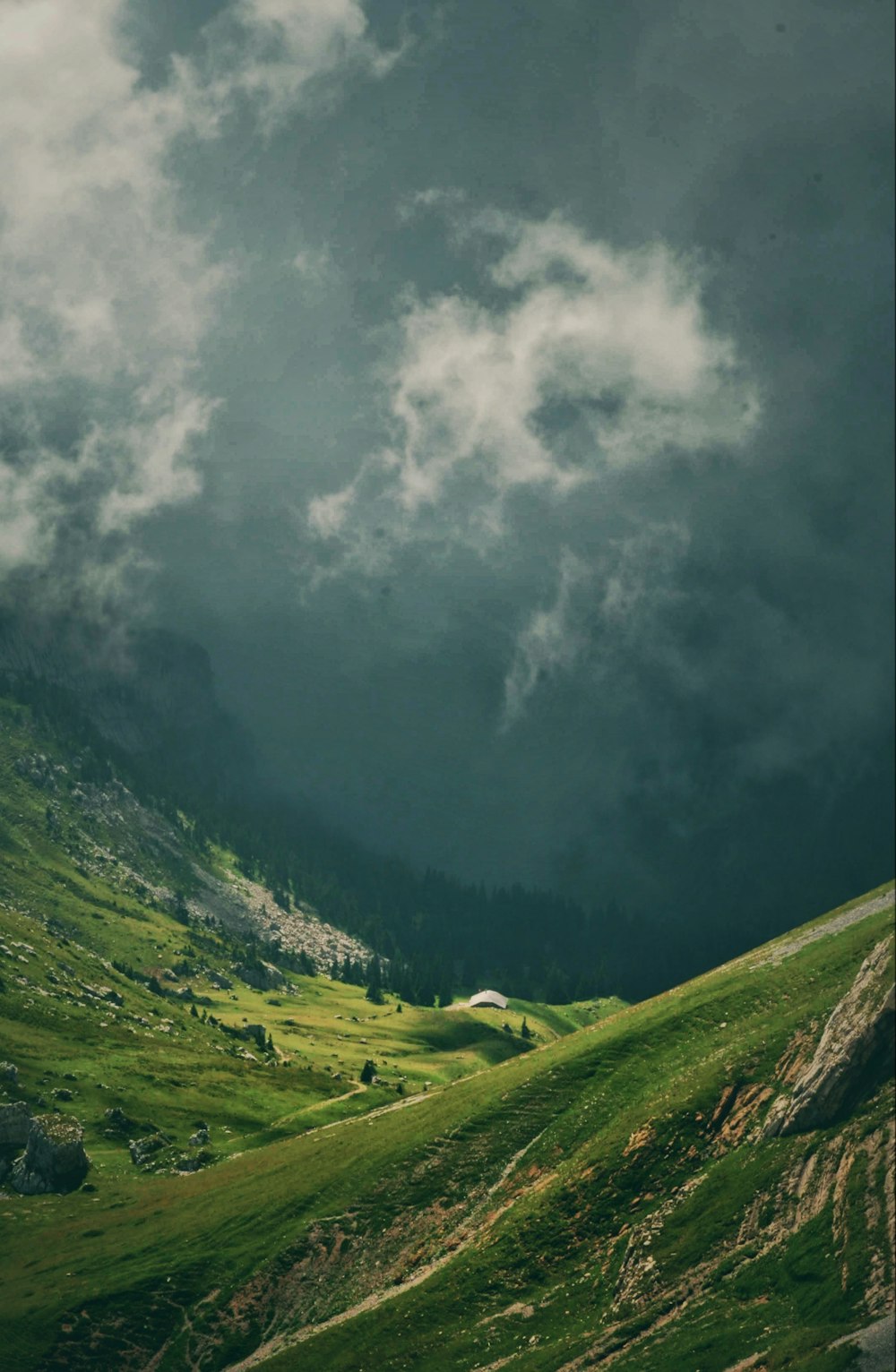 a green field with a mountain in the background