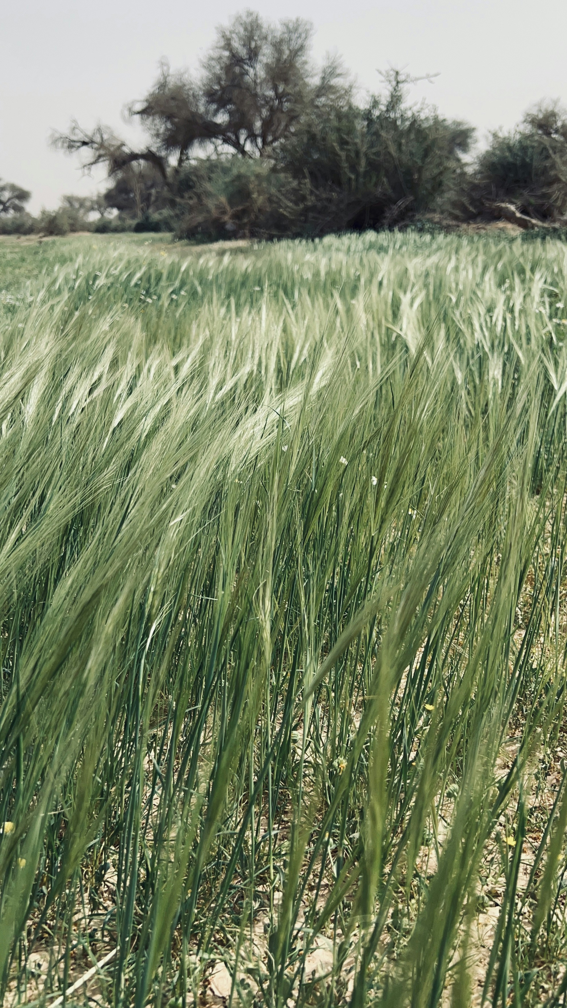 Photo by abdullah_2018