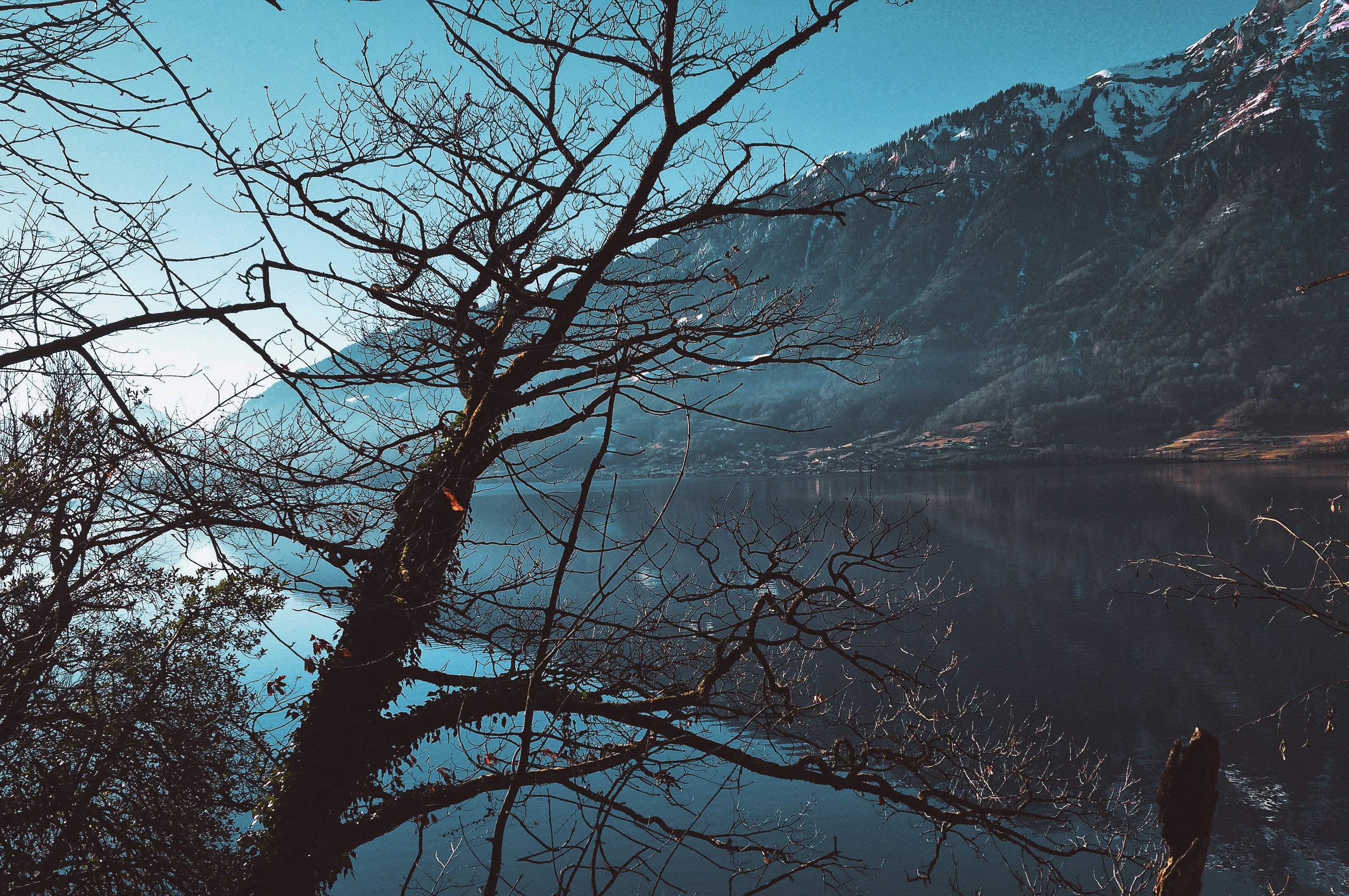 Photo by agostinhoserra