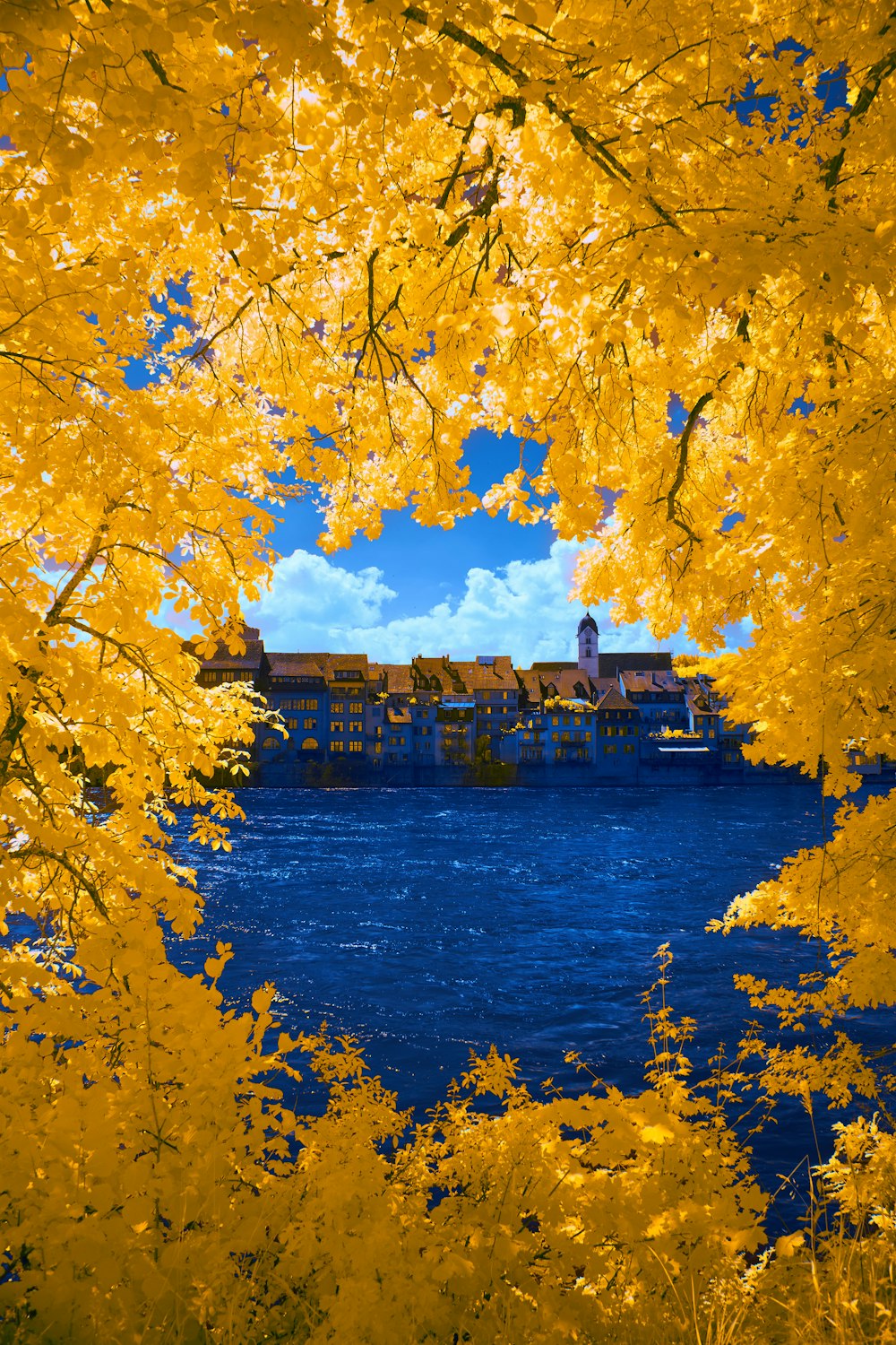 a view of a bridge through some trees