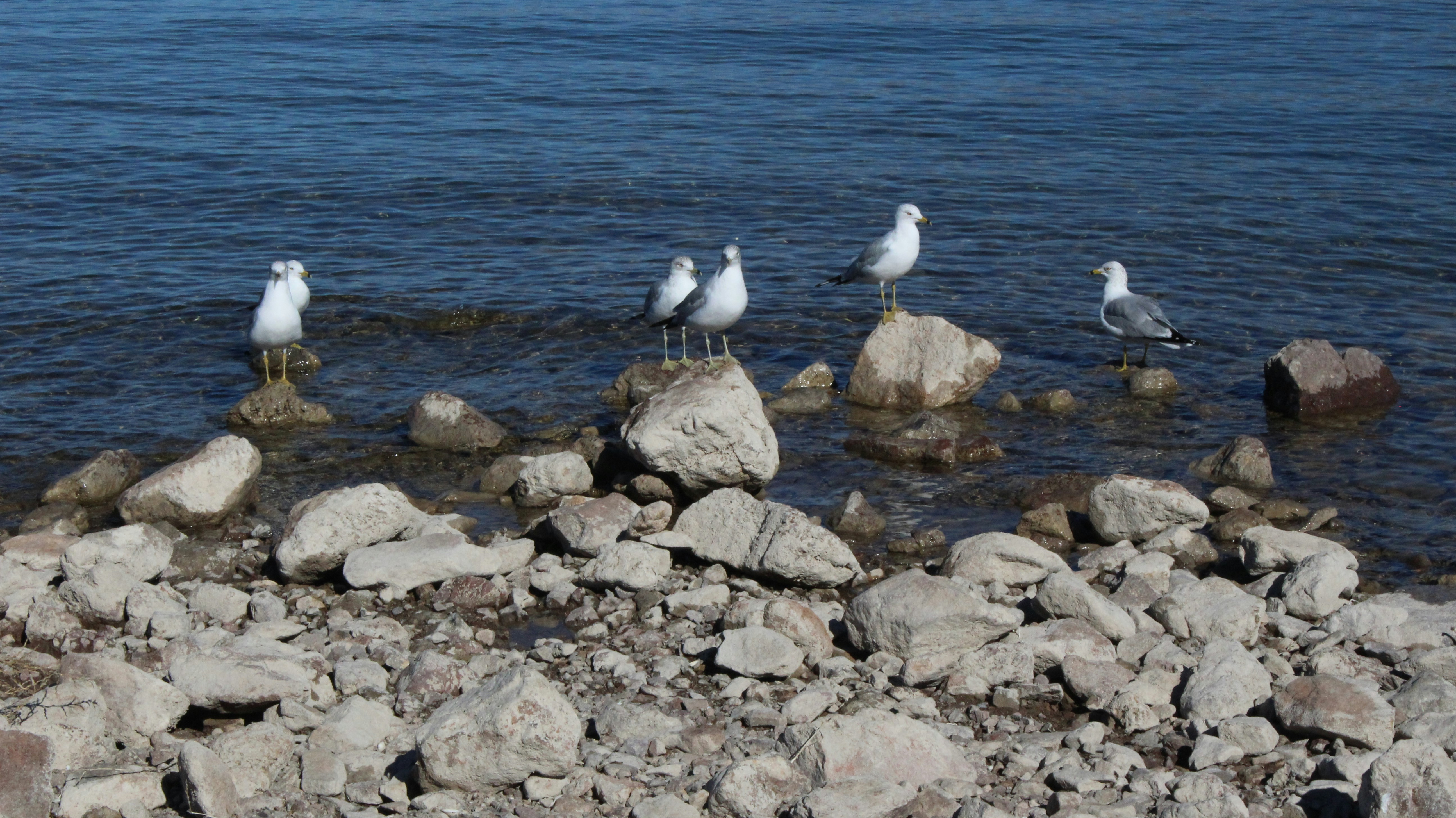 Photo by gutterjr1970