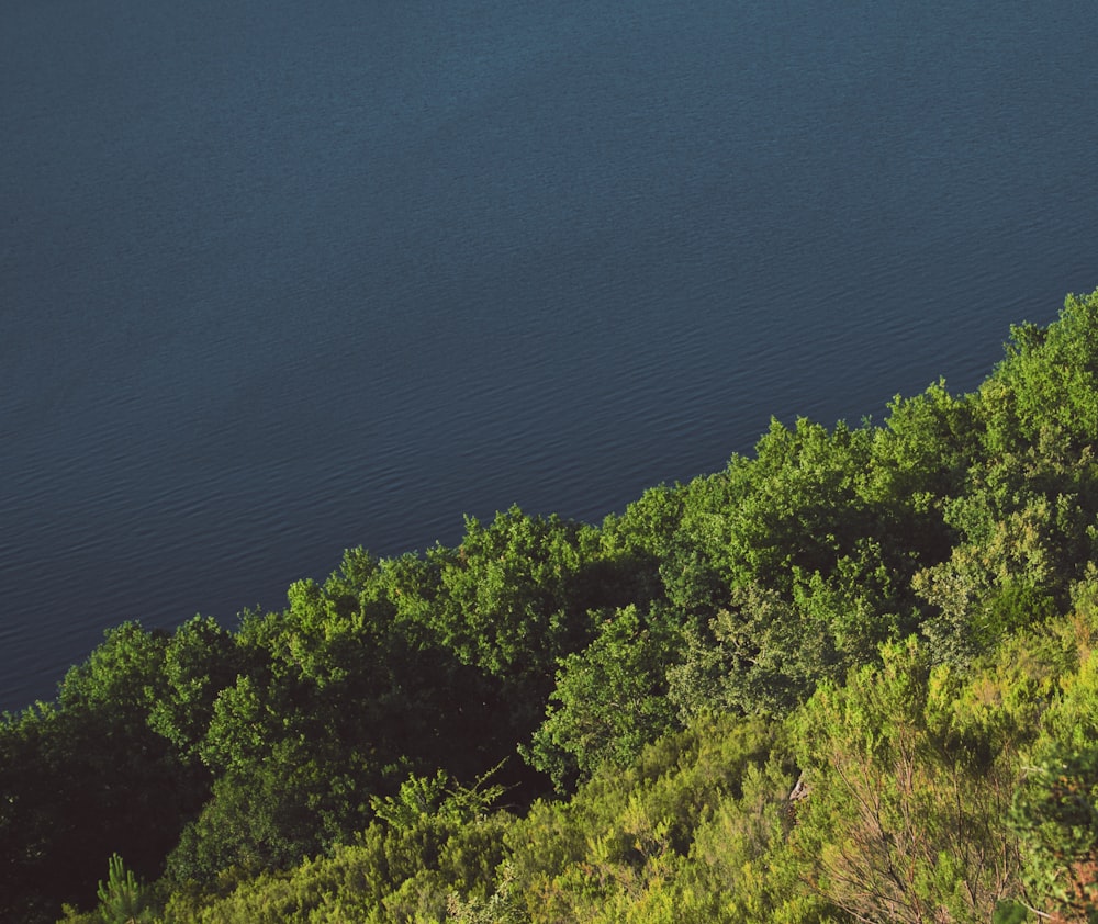 a man riding a horse down a lush green hillside