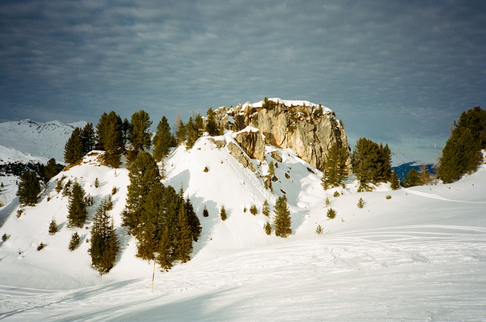 une montagne enneigée avec des arbres sur le côté