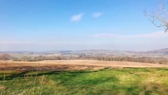 A serene farm landscape with rows of crops under blue skies.