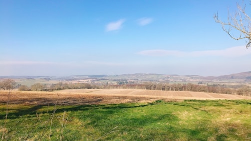A serene farm landscape with rows of crops under blue skies.