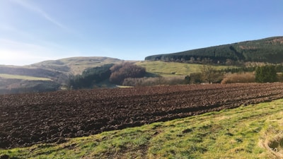 A freshly cleared patch of land ready for planting under a bright morning sky.