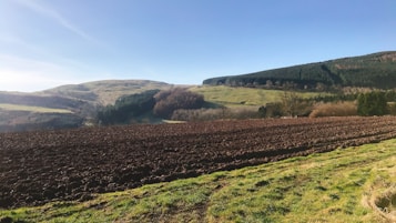 A vast field stretches out under a clear blue sky. The field, freshly plowed and ready for planting, sits in the foreground. Beyond the field, rolling hills covered with patches of trees and greenery gently rise and fall. In the background, a dense forest is visible, forming a dark green border against the lighter shades of grass and brush. The lighting suggests either early morning or late afternoon.