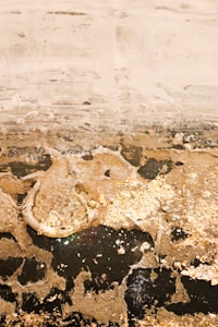 A textured surface with a layered appearance, featuring various shades of brown, gold, and white. The rough textures and irregular patterns suggest a natural or abstract form, with what appears to be gold leaf adding a metallic sheen.