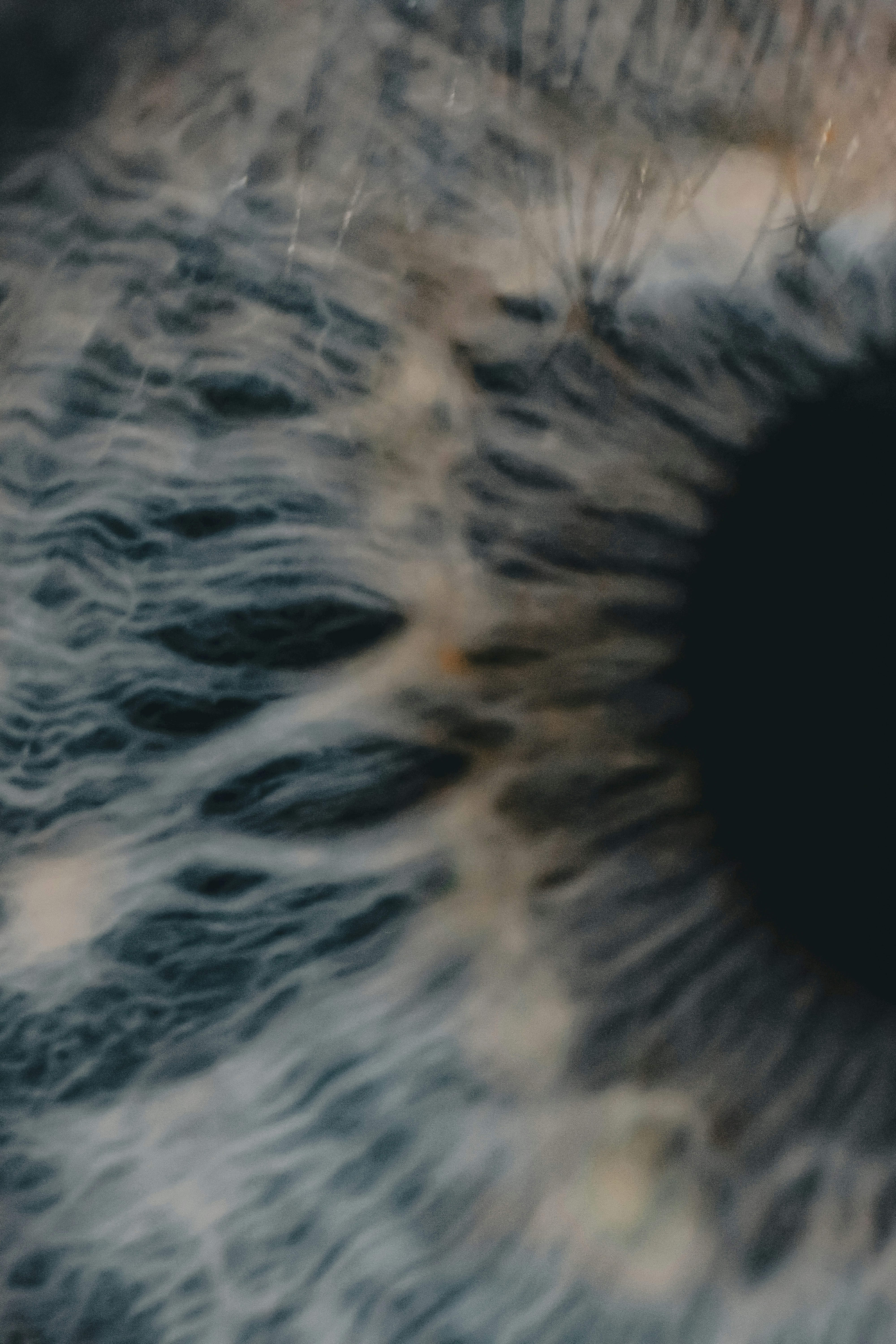 a close up of an eye with a black circle in the center