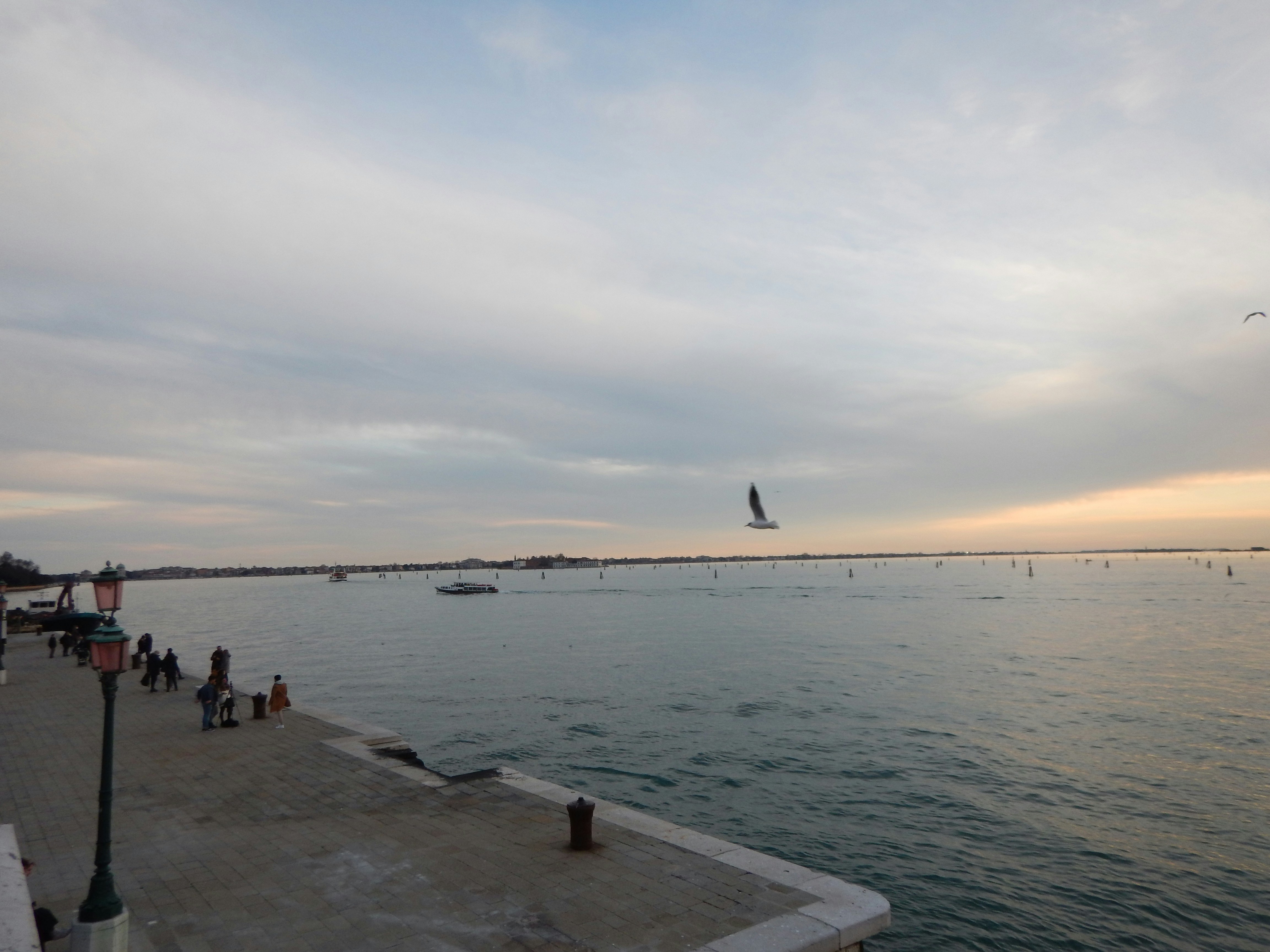 Photo by tevafotos
