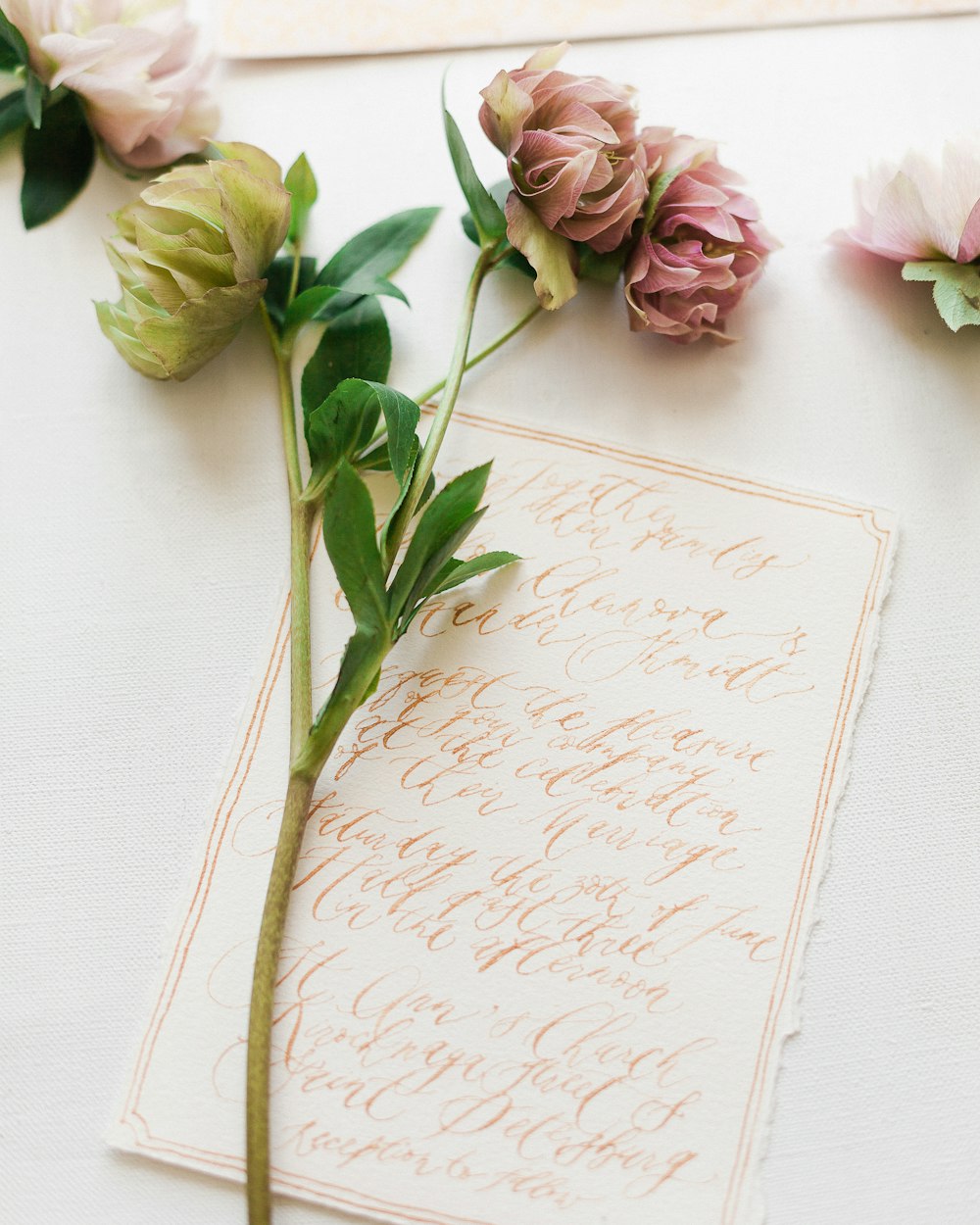 a piece of paper with a rose on top of it